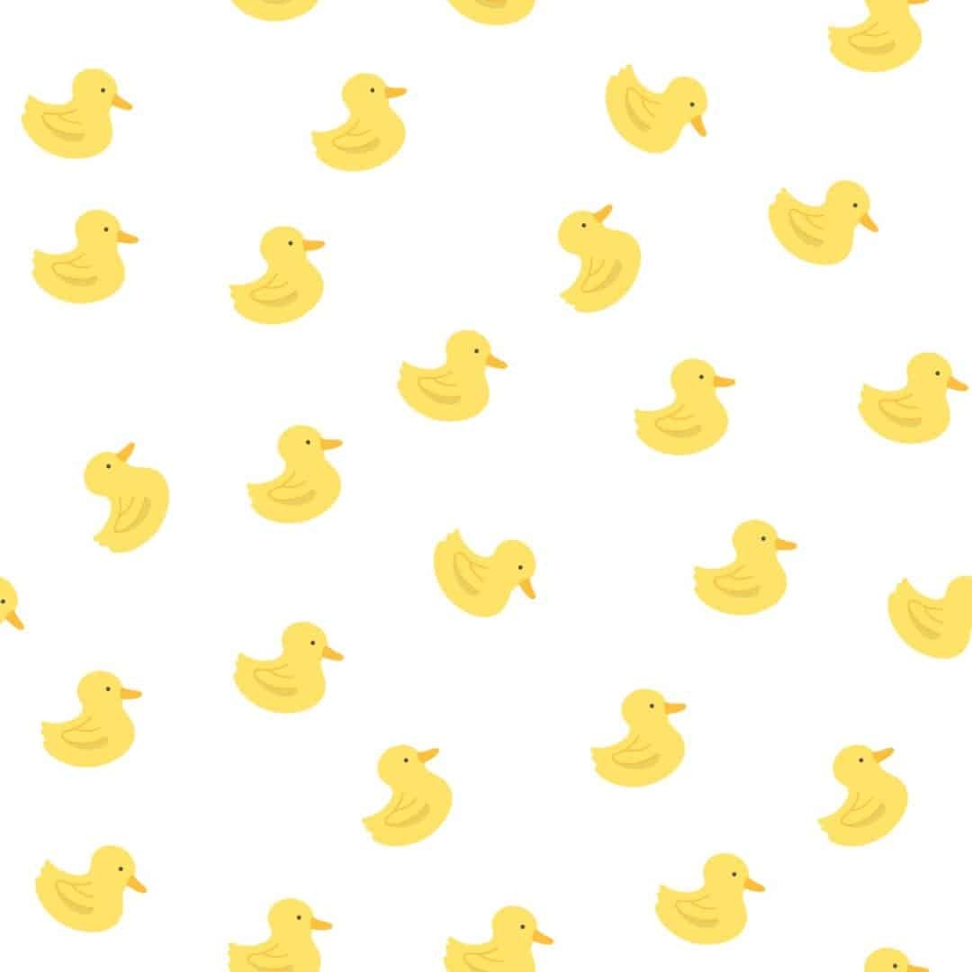 1080x1080 Yellow Duck Wallpaper And Stick Or Non Pasted, Phone