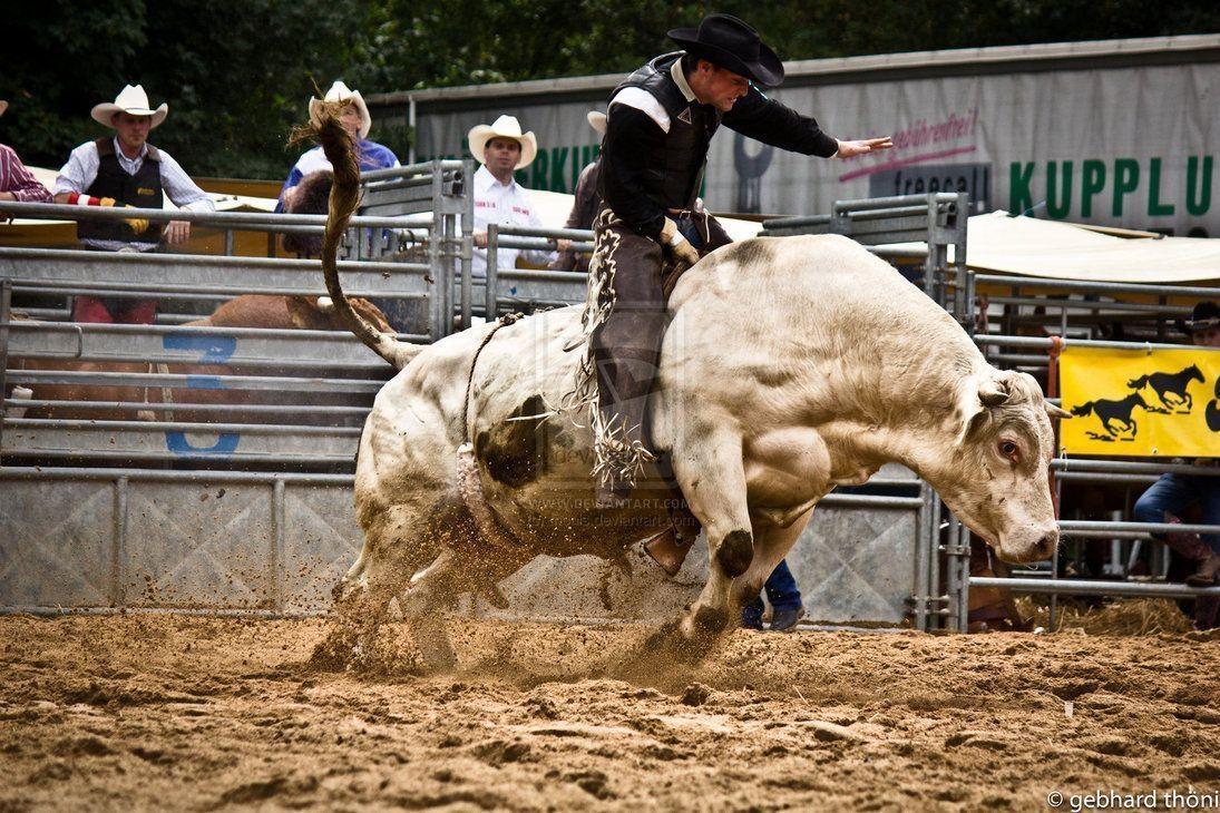 1100x730 Bull Riding Wallpaper, Desktop