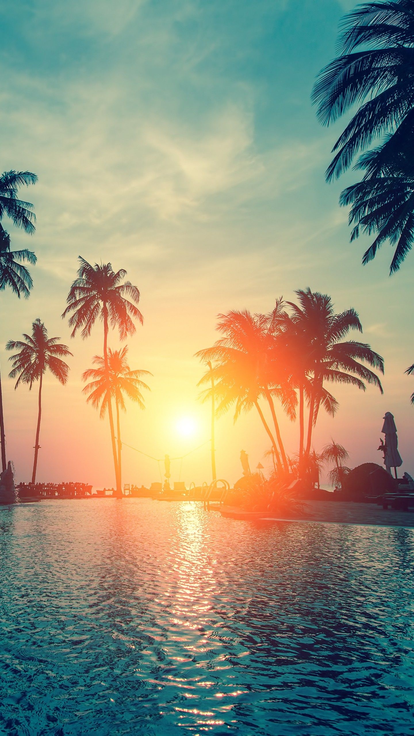 1440x2560 Palm Trees Sunset Wallpaper, Phone