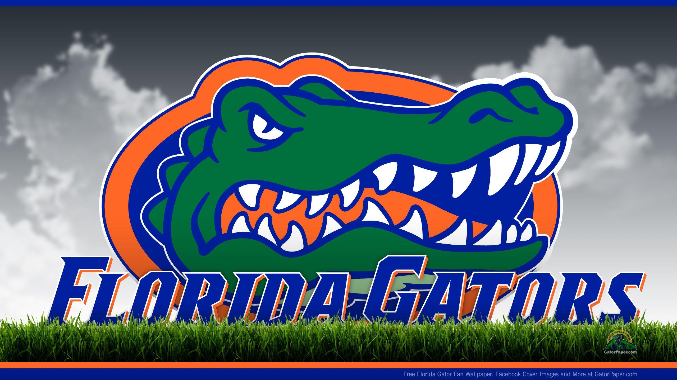 2560x1440 Florida Gator Wallpaper, Desktop