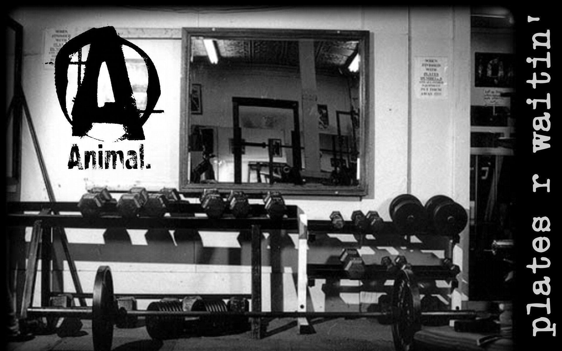 1920x1200 Wallpaper For > Weight Lifting Wallpaper, Desktop