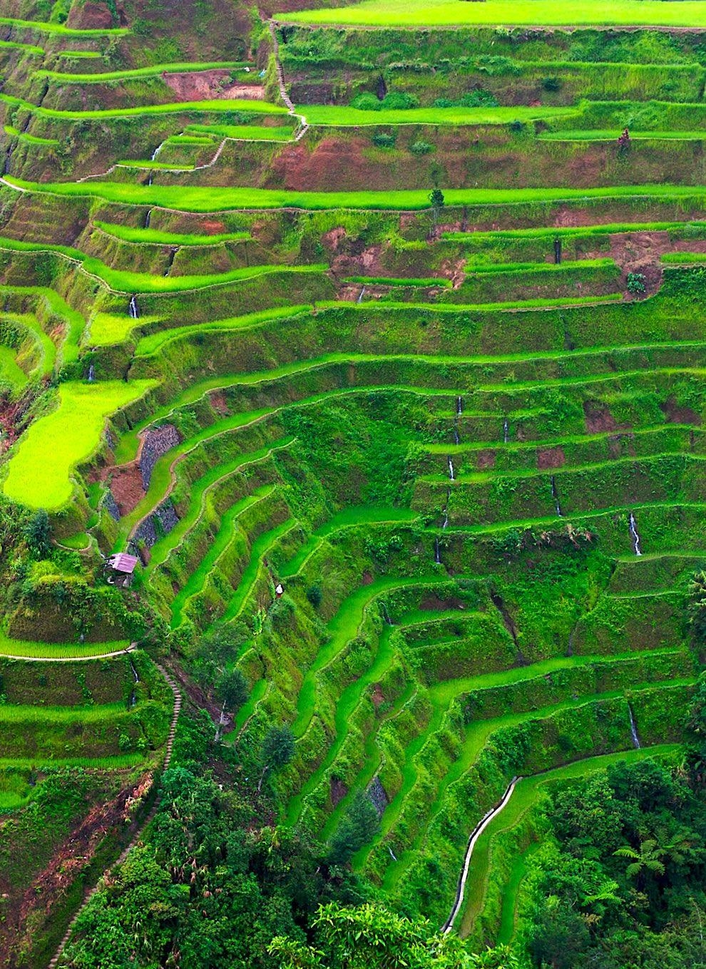 990x1360 The rice terrace fields of Banaue country, the Philippines place, Phone