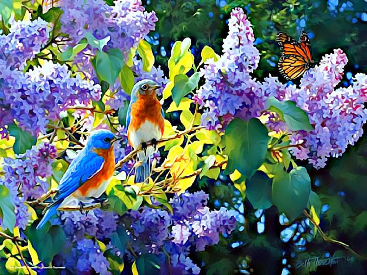 1280x960 414.0 kbytes, wallpaper, Flowers, butterfly, birds, Desktop