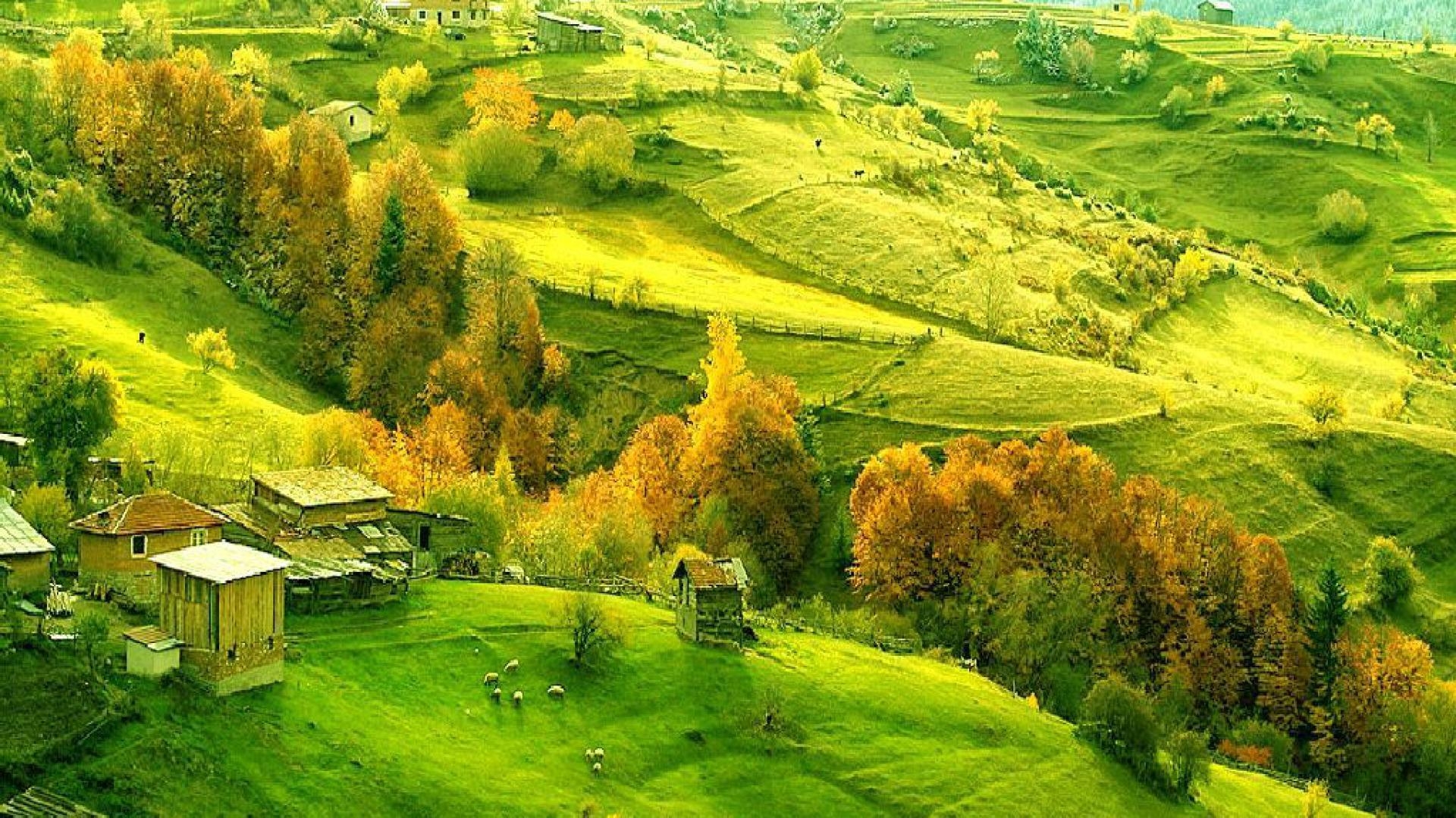 1920x1080 px Tuscan Countryside Wallpaper Desktop, Desktop