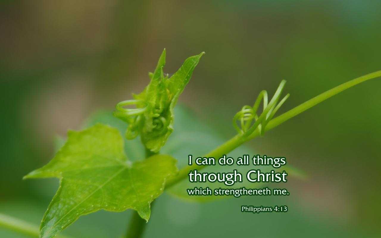 1280x800 Philippians 4:13 Nature & Bible Desktop Background / Wallpaper, Desktop