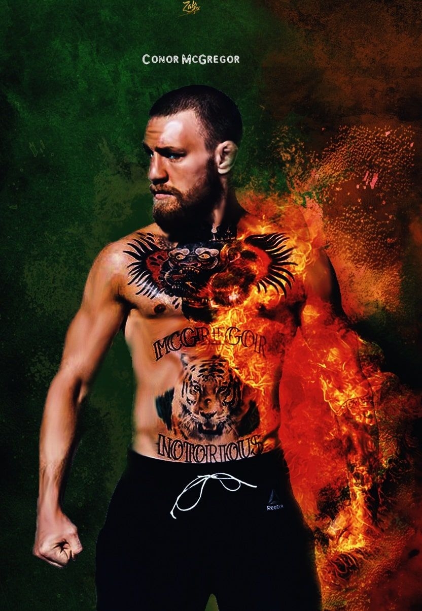 840x1210 Conor McGregor iPhone Background Free HD Wallpaper, Phone