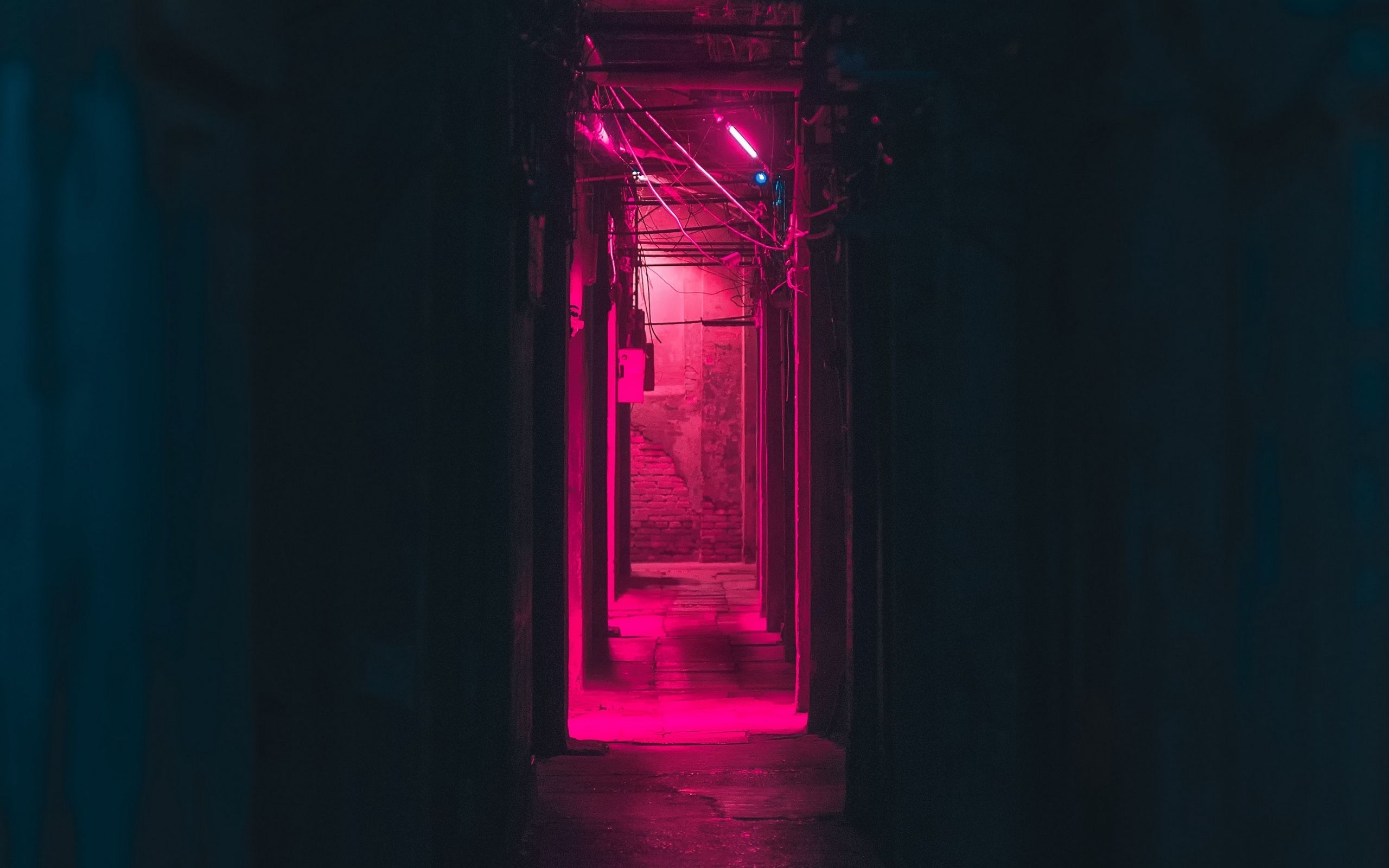 2560x1600 Download wallpaper  corridor, neon, dark, pink, light, Desktop