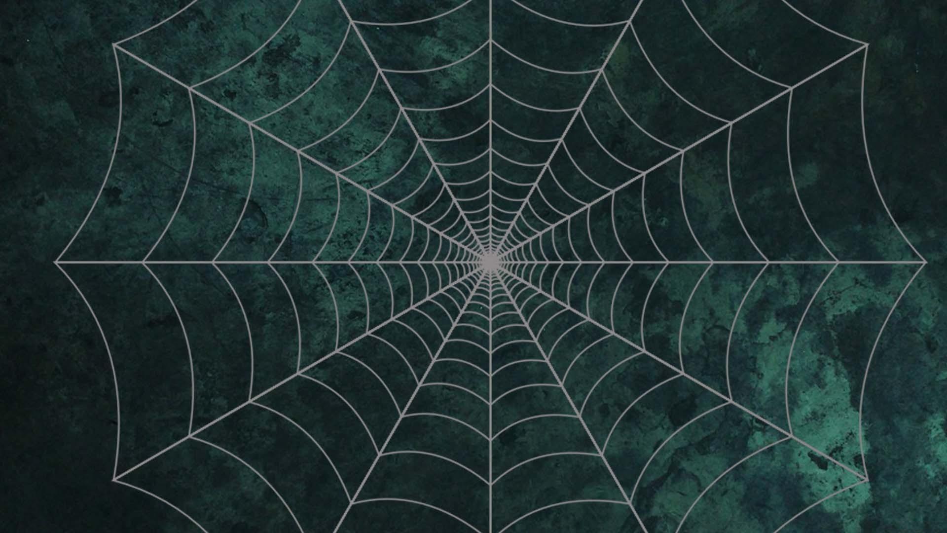 1920x1080 Halloween Spider Web Desktop Wallpaper 34780, Desktop