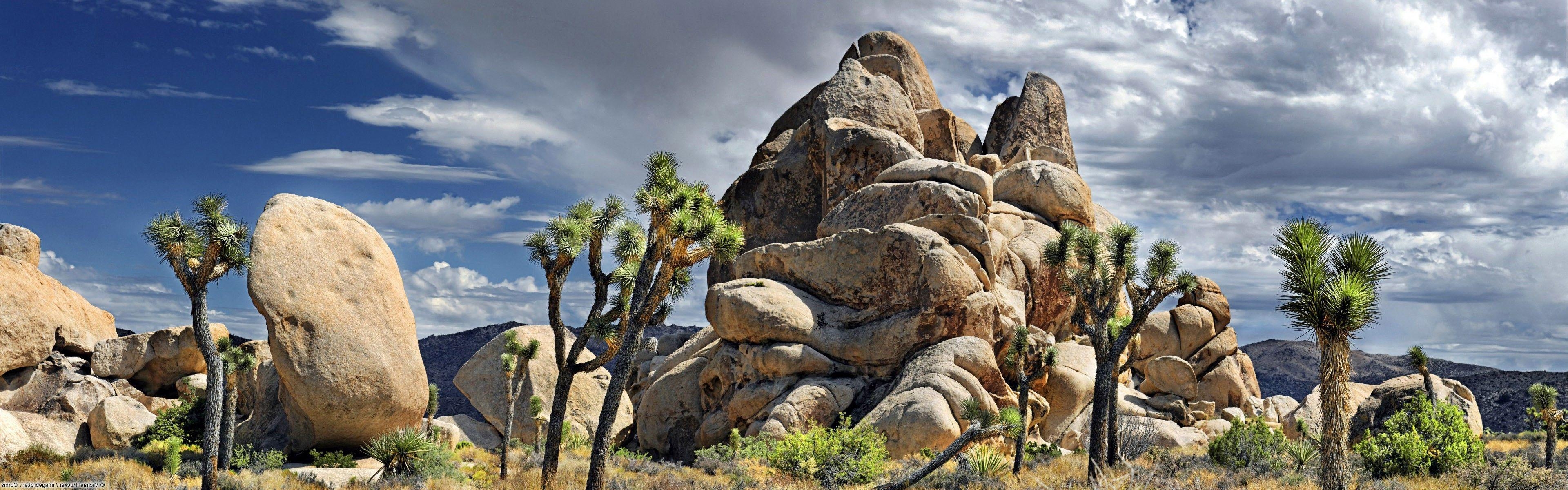 3840x1200 nature, Landscape, Rock, Joshua Tree National Park Wallpaper HD, Dual Screen