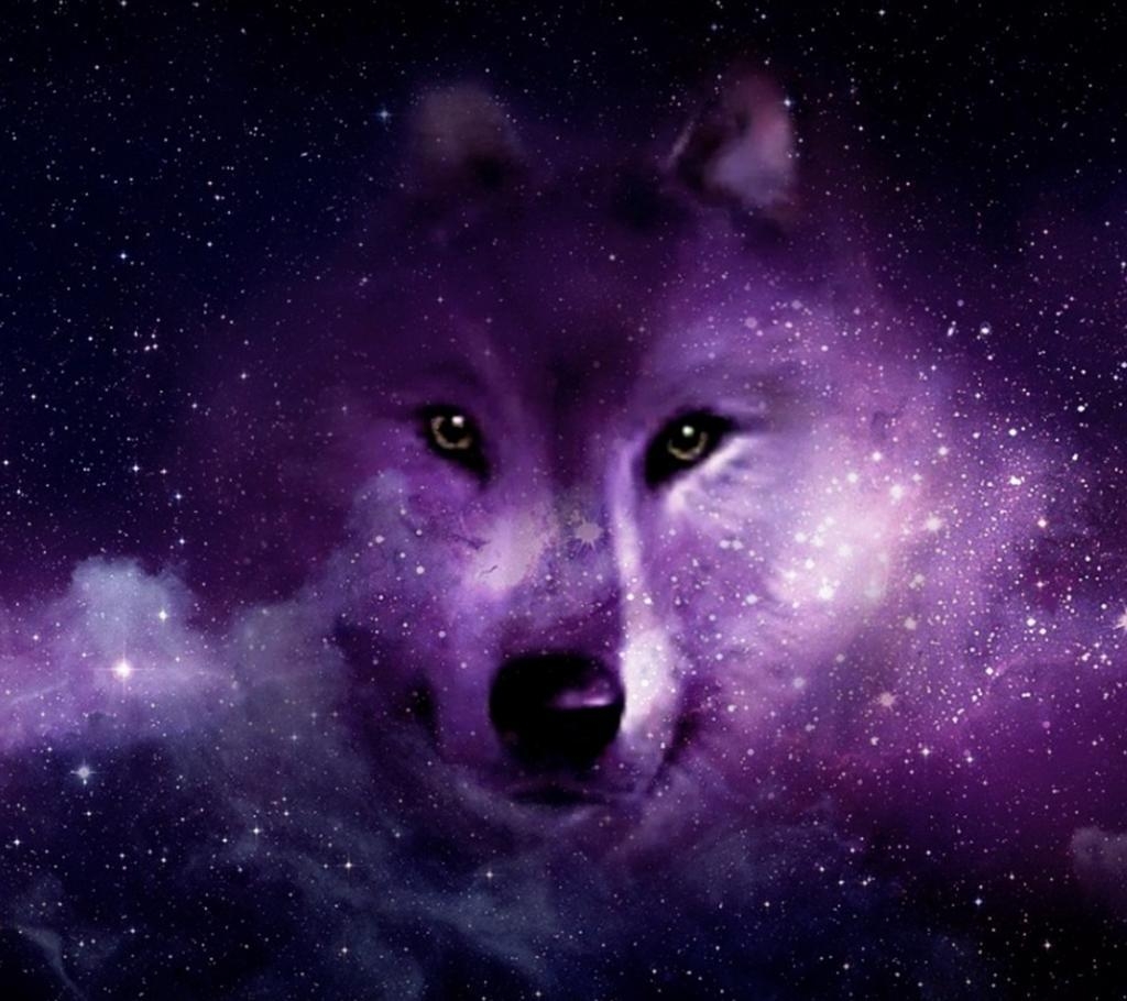 1030x910 Download Wolf wallpaper to your cell phone sky wolf, Desktop