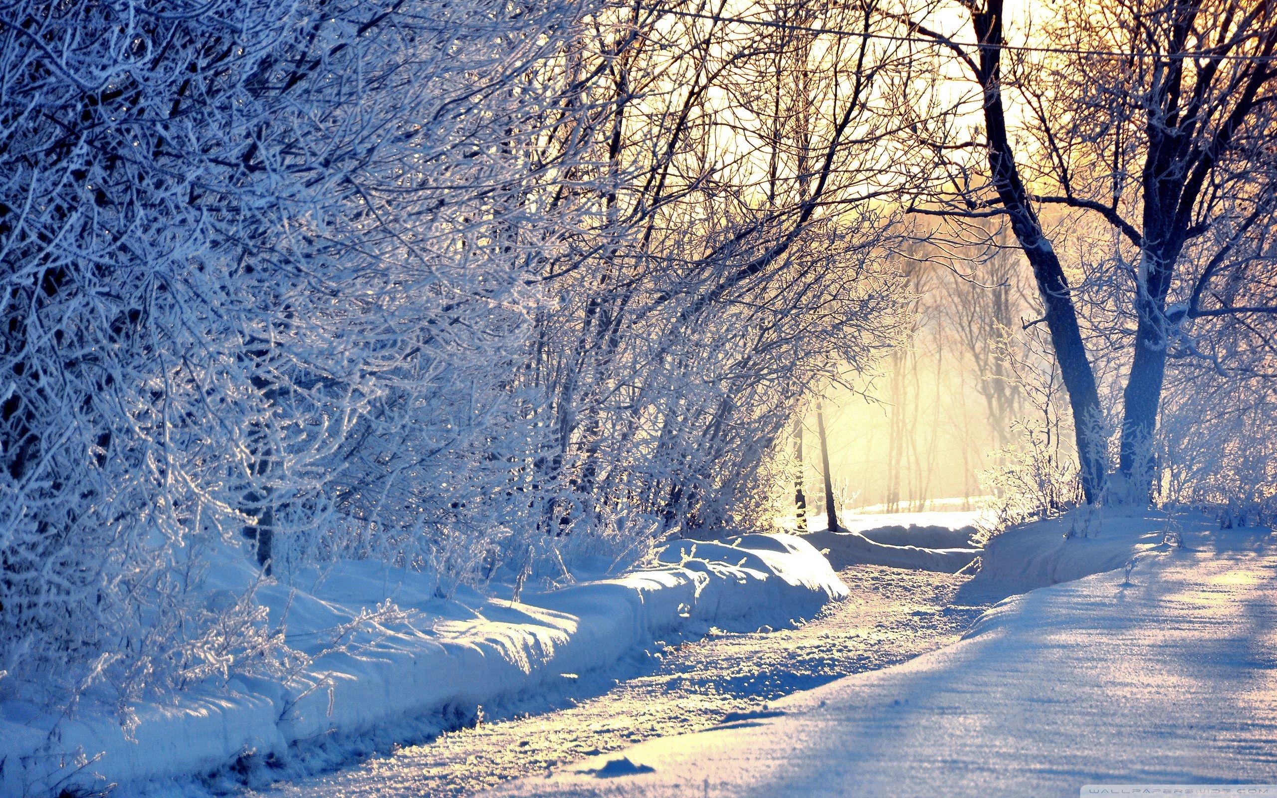 2560x1600 Winter Morning Light Wallpaper Full HD [], Desktop