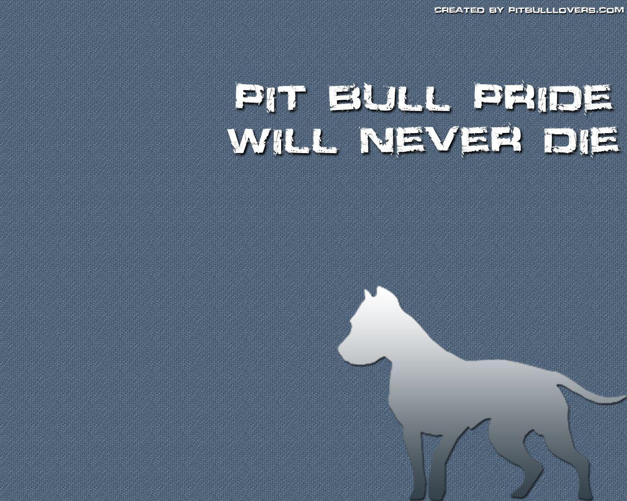 1280x1030 best wallpaper image. Pit bull, Pit bulls, Desktop