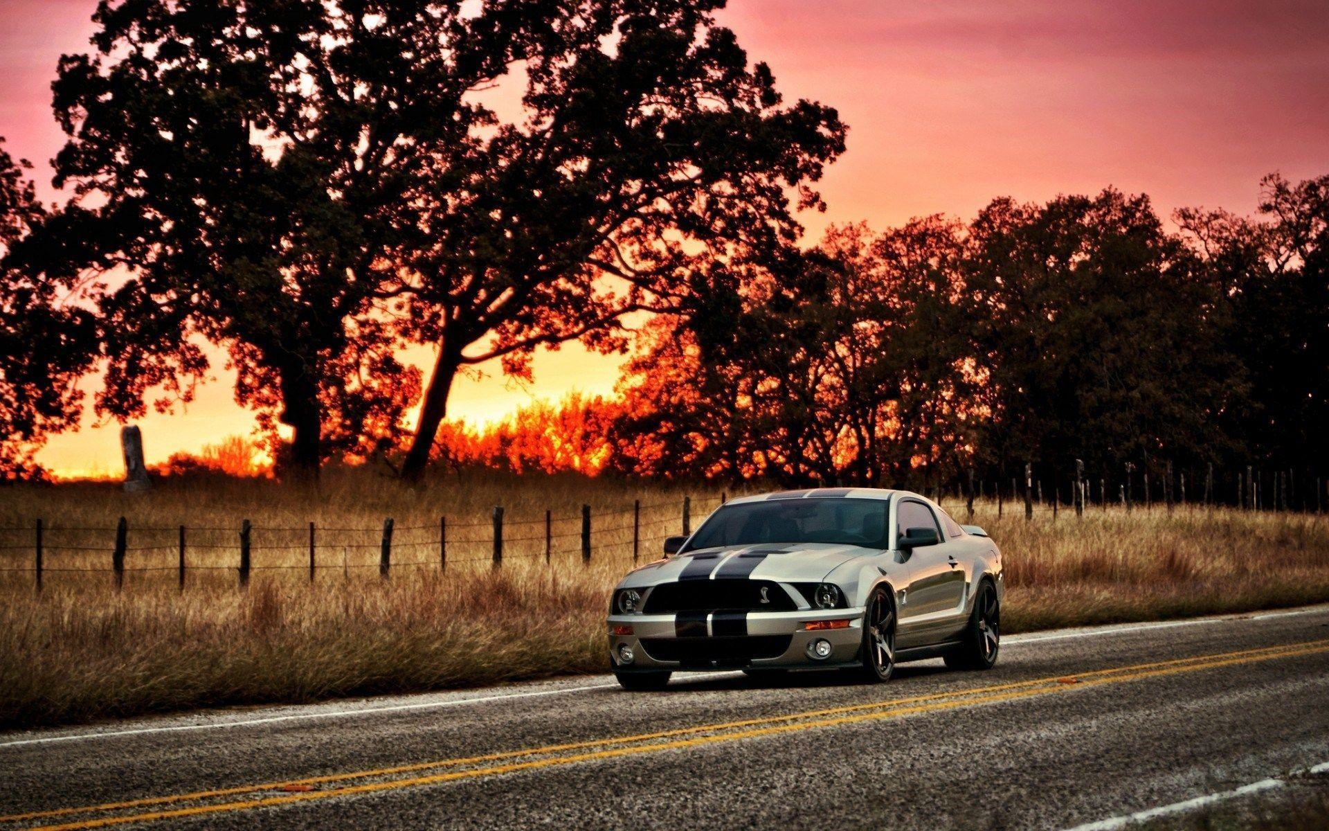 1920x1200 Ford Mustang Shelby Gt500 Wallpaper. Ford Mustang Shelby, Desktop