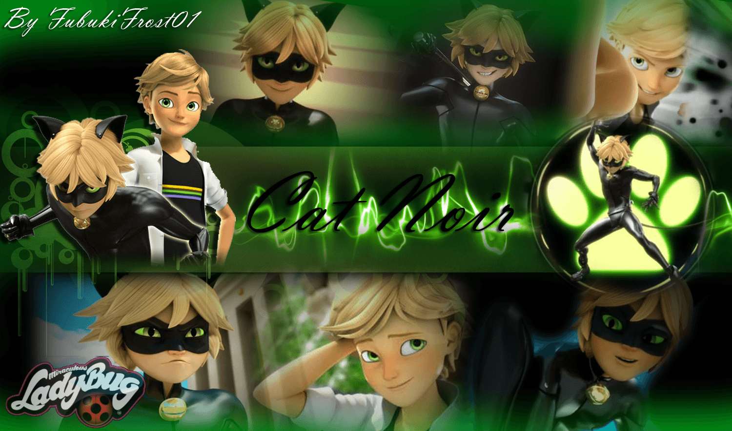 1500x890 Chat Noir Wallpaper, Desktop