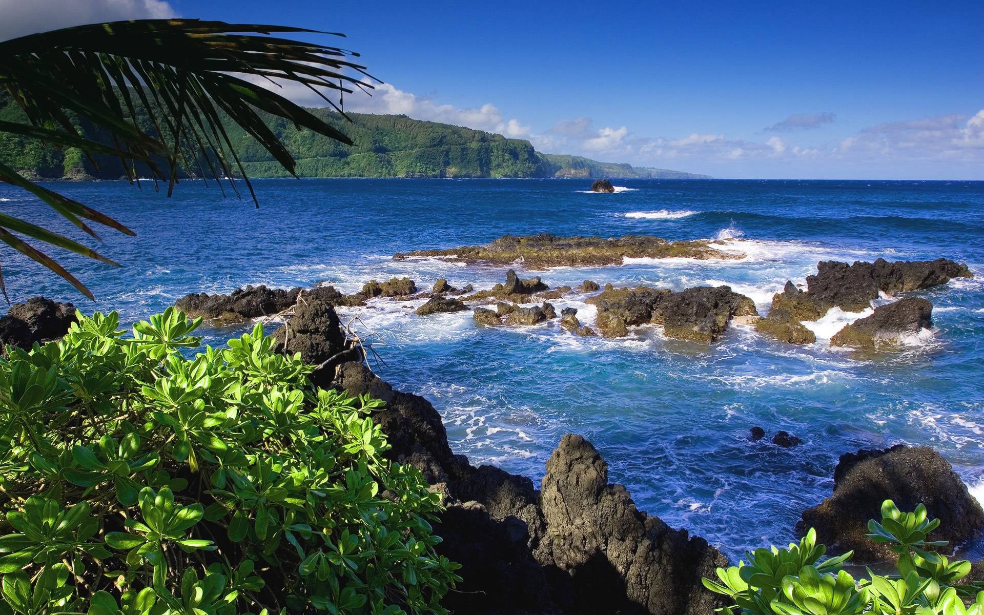 1920x1200 Maui, Ocean beach HD wallpaper, Scene wallpaper, Desktop