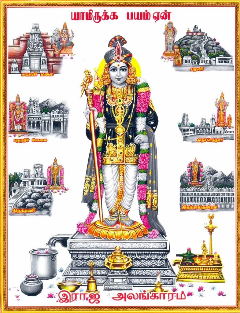 790x1030 Palani Murugan. This picture taken on internet, thanks to t, Phone