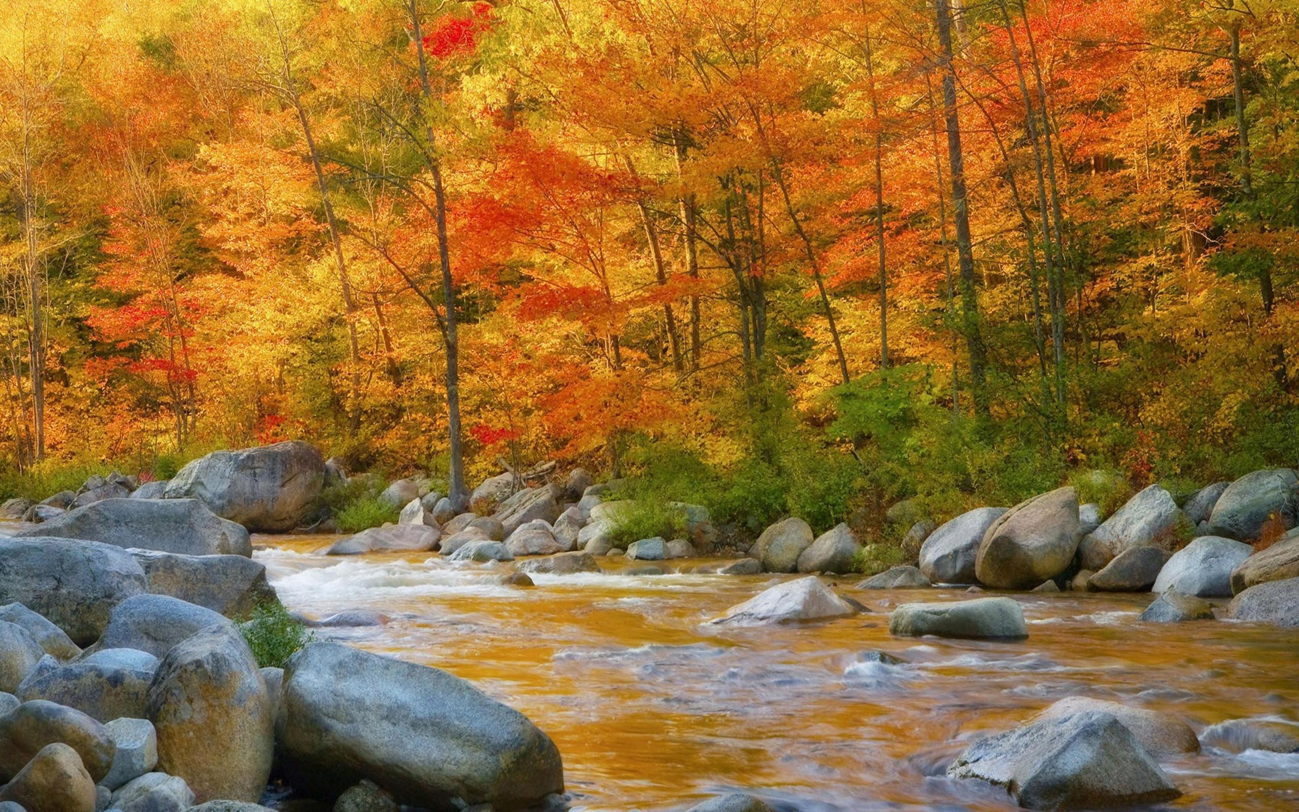 2560x1600 Nature Autumn River Rocks Wallpaper HD, Wallpaper13.com, Desktop