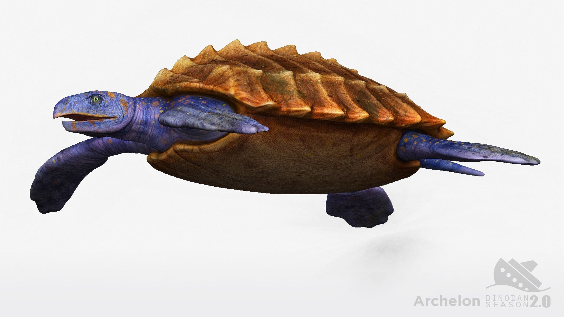 1920x1080 Archelon. DinoPedia Dino Dan, Desktop