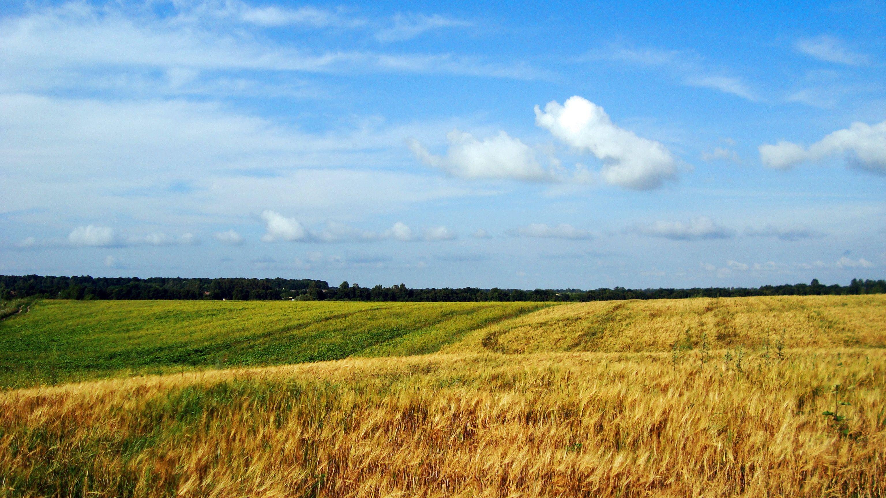 3080x1730 Ukraine Desktop Wallpaper, Desktop