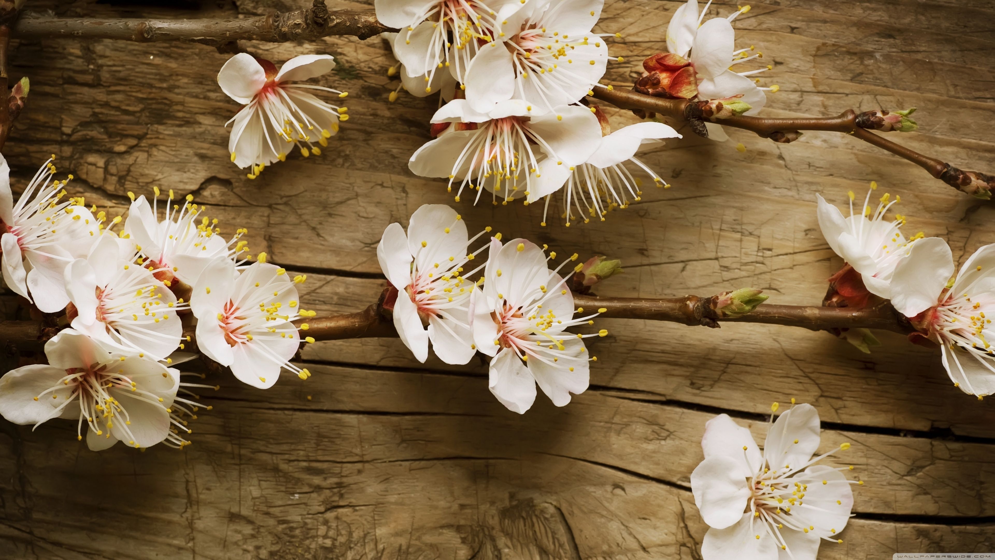 3840x2160 Spring Wallpaper Rustic Wallpaper & Background, Desktop