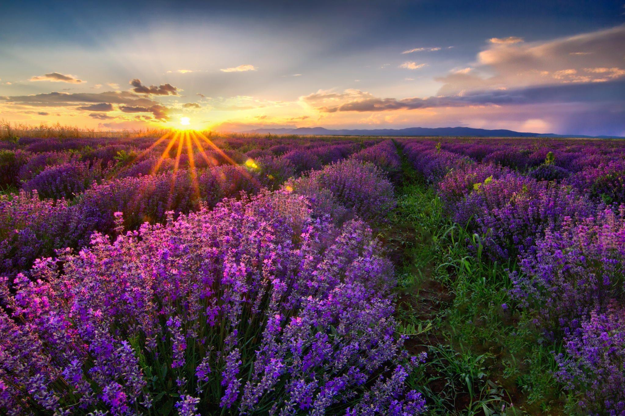 2050x1370 green, clouds, spring, field, purple, beautiful, mountains, sunset, Desktop