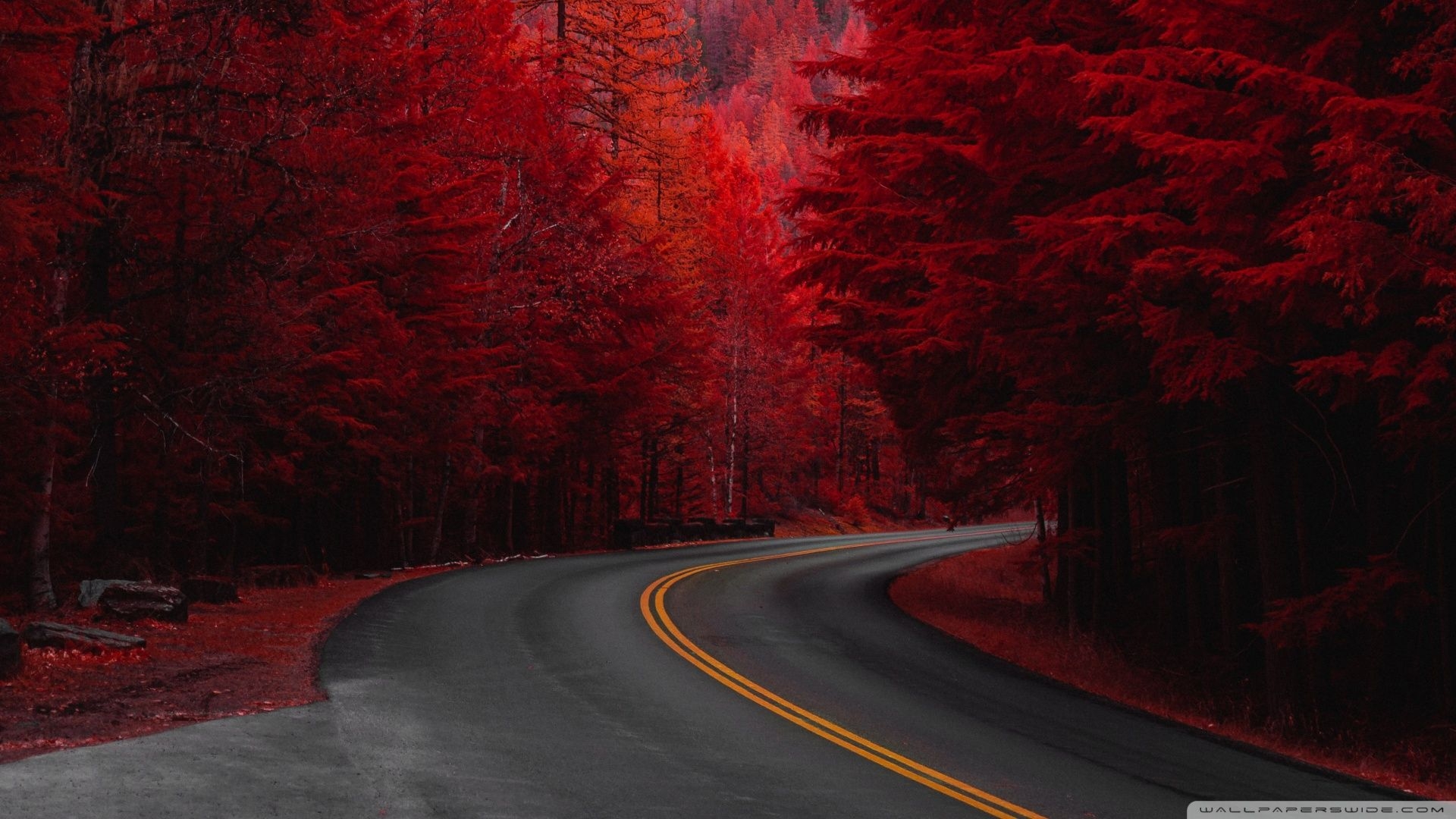 1920x1080 Autumn, Road, Aesthetic Ultra HD Desktop Background Wallpaper, Desktop