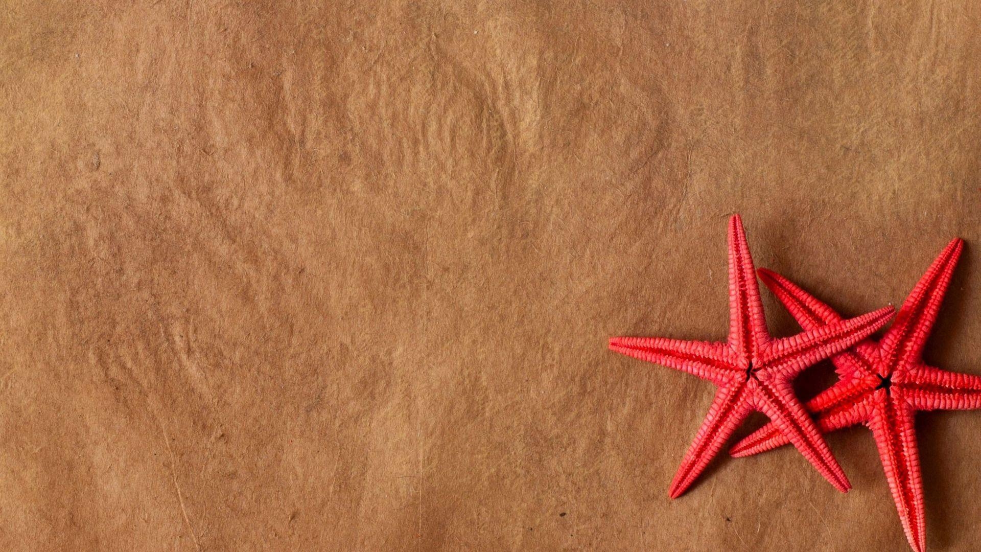 1920x1080 Starfish on old paper Wallpaper #, Desktop