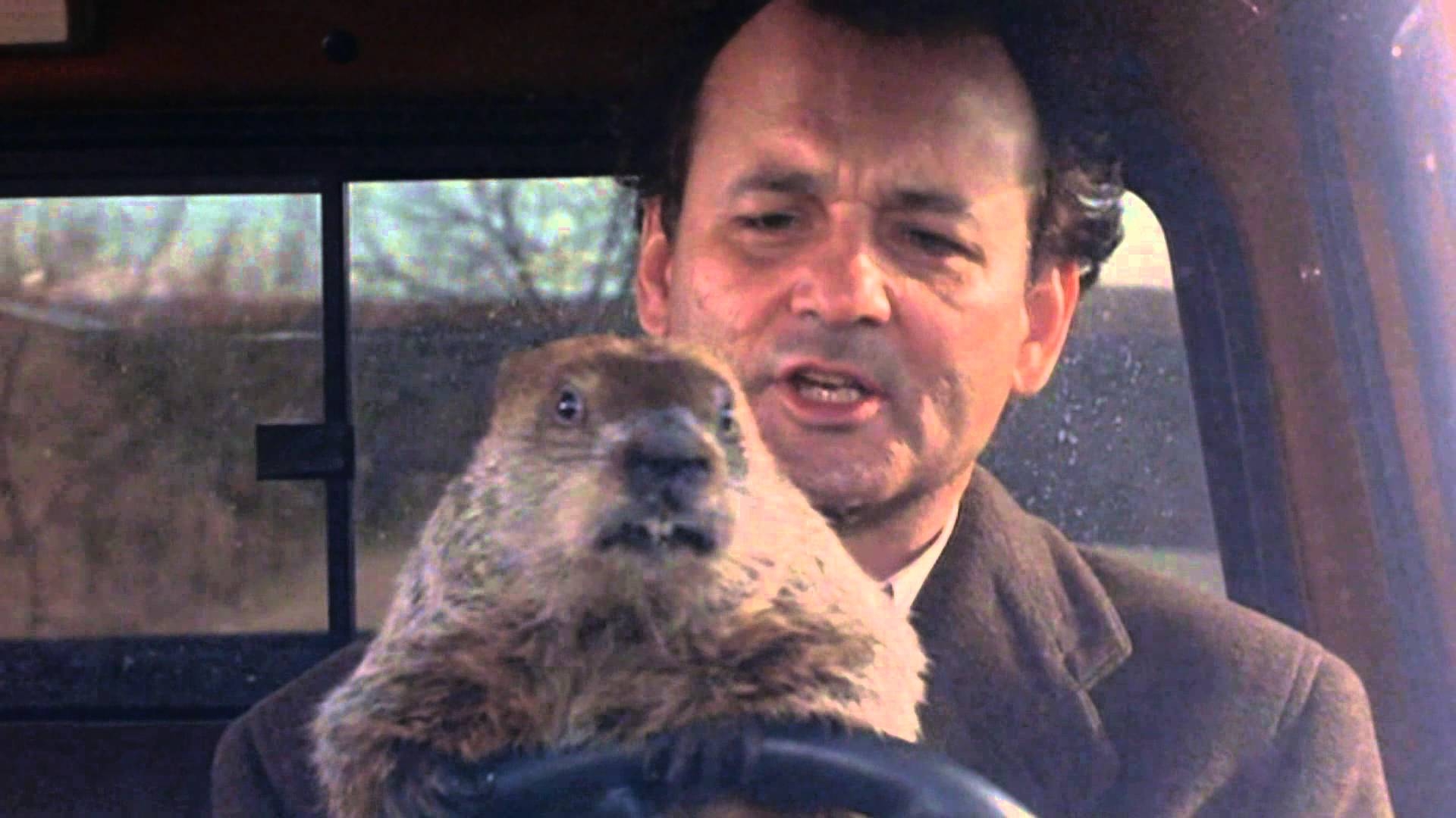 1920x1080 Video Breaks Down How Long Phil Spent Stuck In GROUNDHOG DAY, Desktop