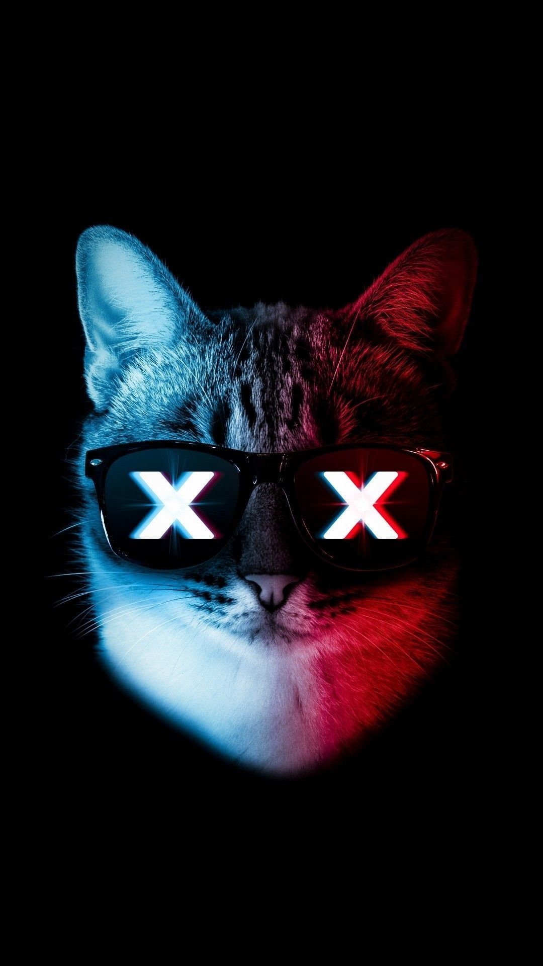 1080x1920 Carmen Blog. iPhone wallpaper cat, Glitch wallpaper, Neon wallpaper, Phone