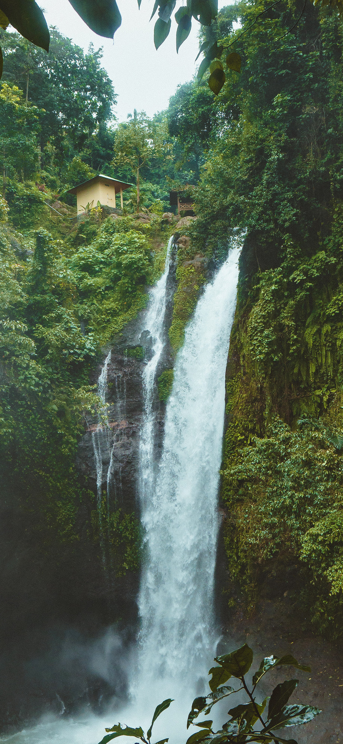 1130x2440 iPhone X wallpaper. waterfall summer forest river nature jungle, Phone