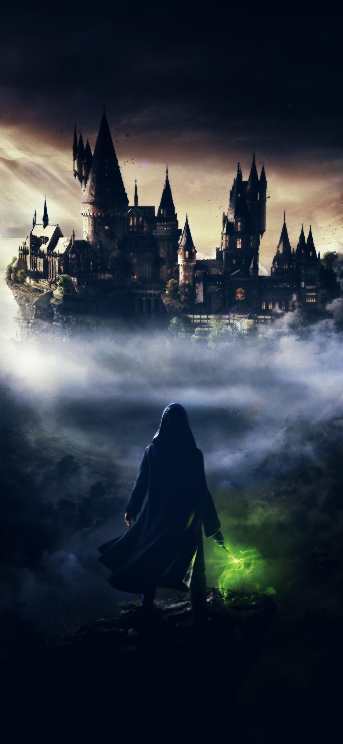 1130x2440 Hogwarts Mobile Wallpaper Free Hogwarts Mobile Background, Phone