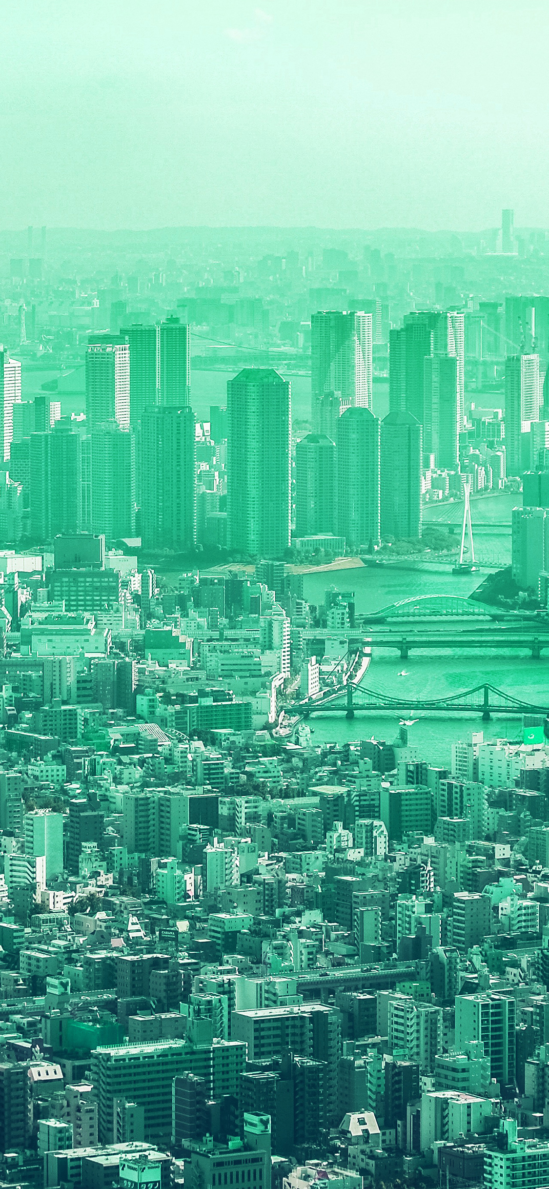 1130x2440 iPhone X wallpaper. green city cloud metropolitan urban building, Phone