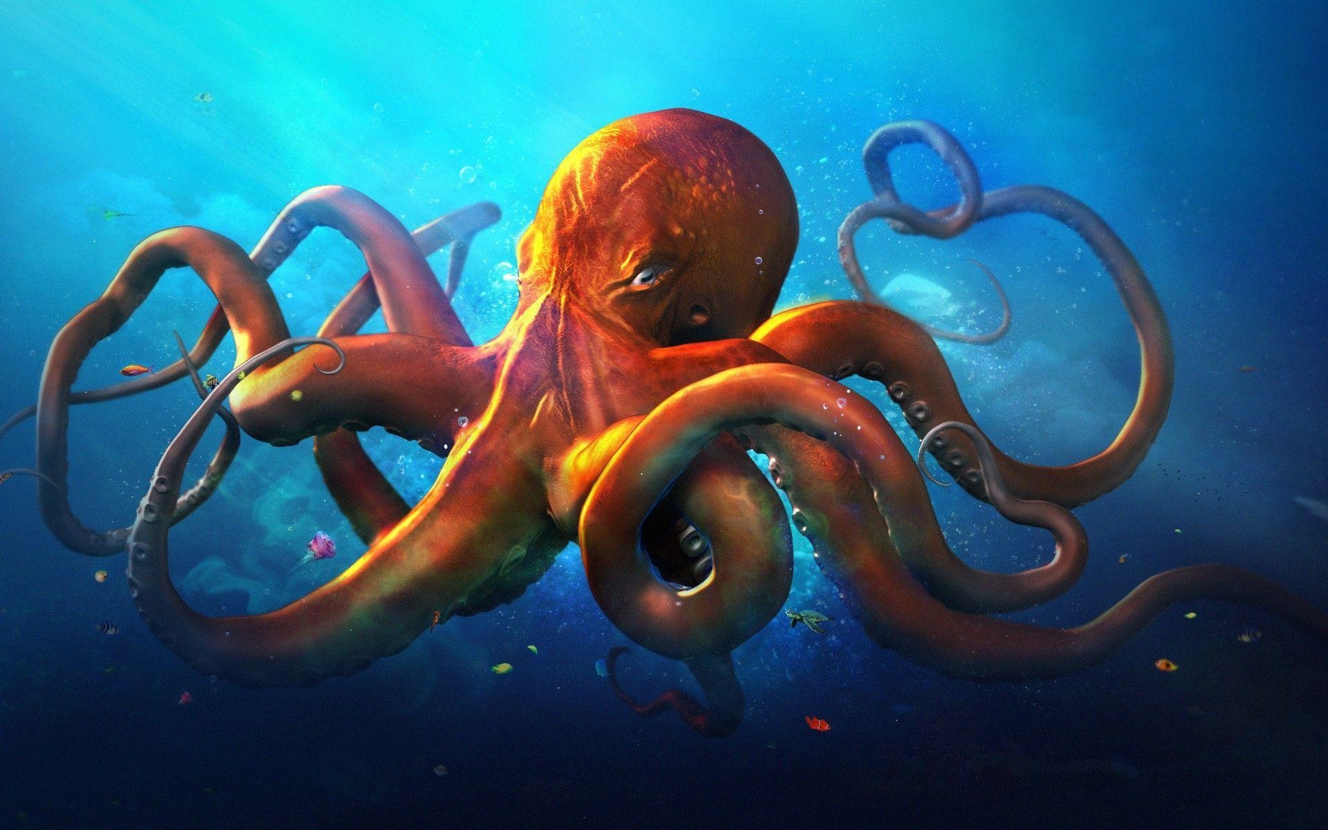 1920x1200 Octopus Wallpaper. Creative HD Wallpaper. animal image in 2019, Desktop