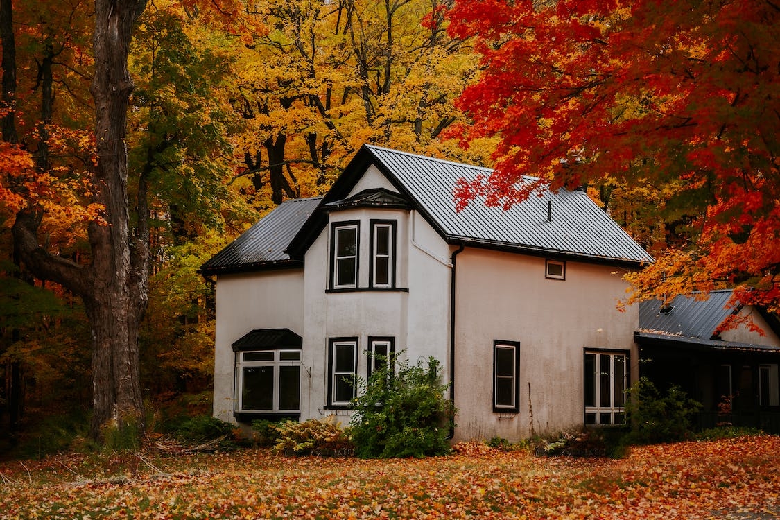 1130x750 Free of 4k wallpaper, aesthetic desktop wallpaper, architecture, autumn, autumn aesthetic, autumn color, building, bungalow, canada, cozy, estate, fall picture, fall colors, fall foliage, fall leaf, fall leaves background, family, Desktop