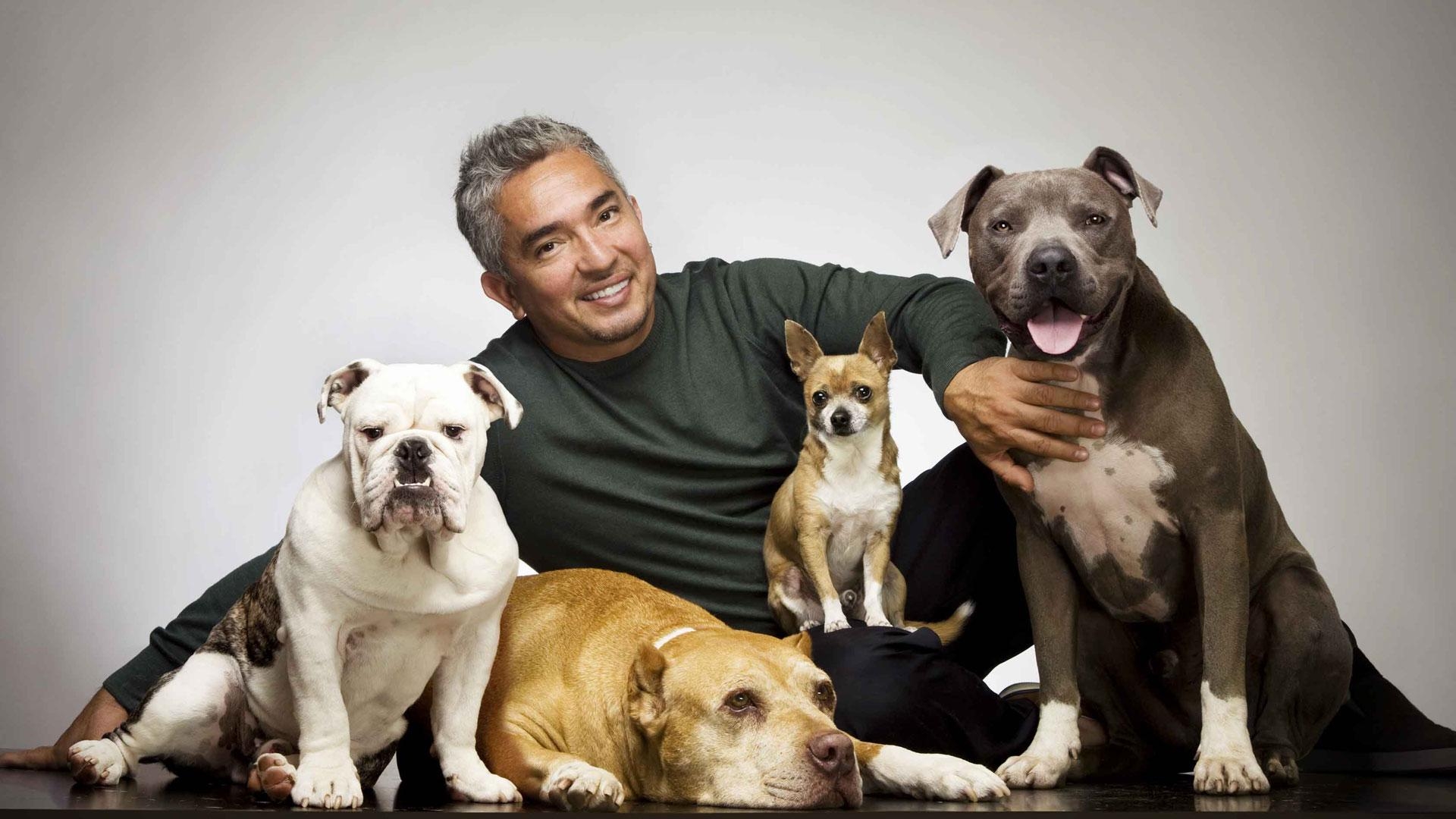 1920x1080 Cesar Millan: I'm not cruel to animals. The Big Issue, Desktop