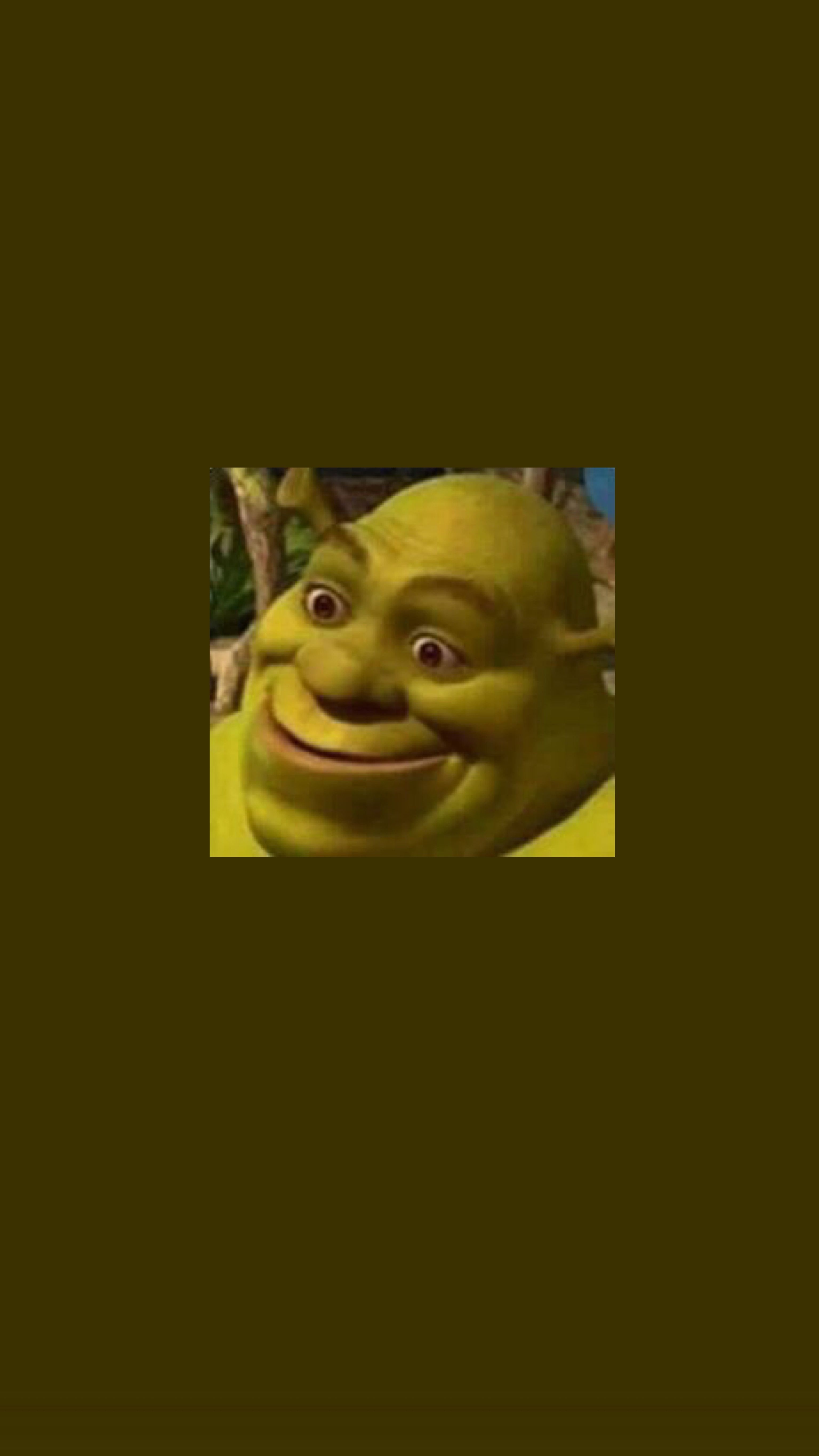 3080x5460 shrek iphone background. Shrek, Funny iphone wallpaper, Shrek memes, Phone