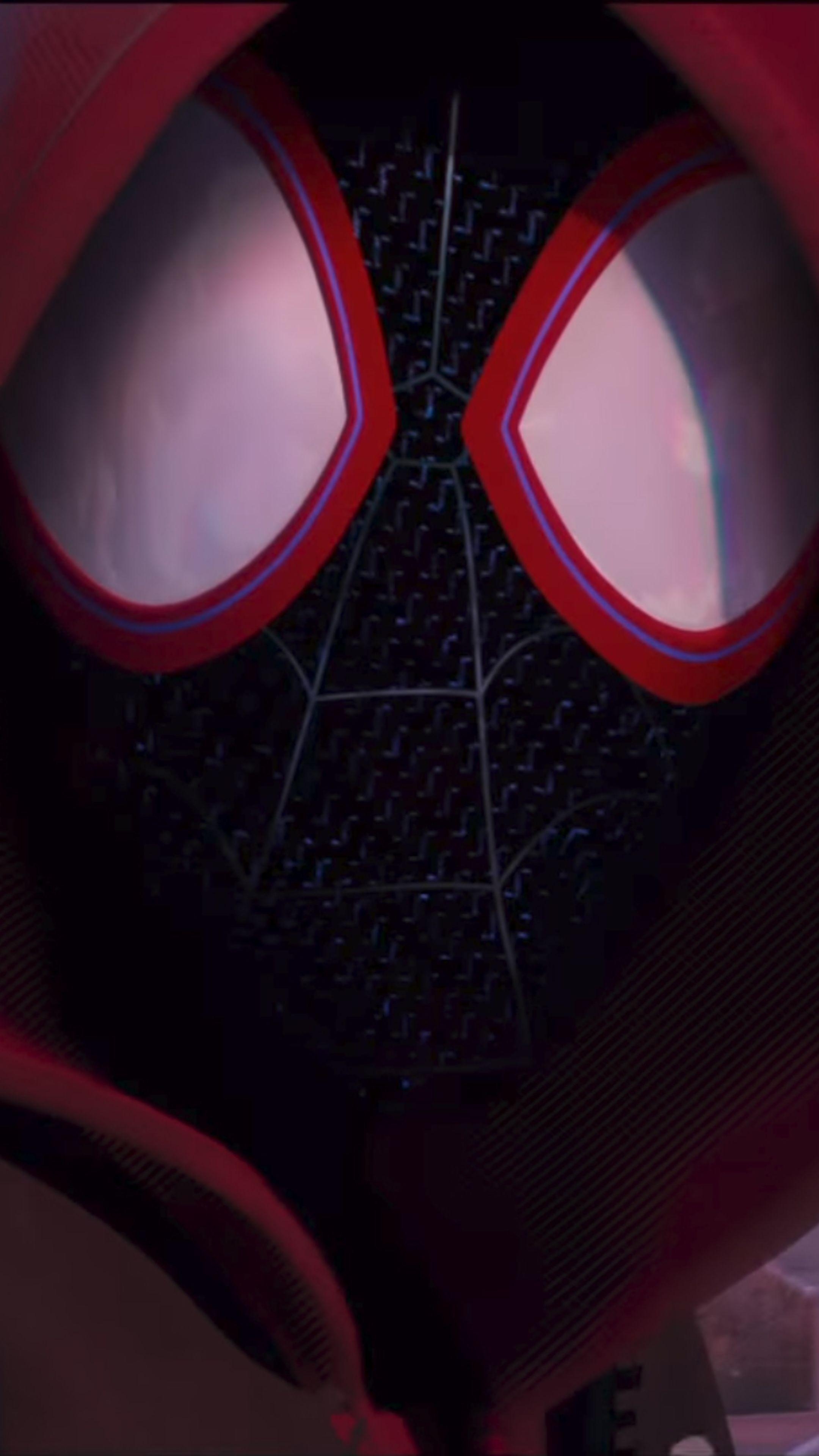 2160x3840 SpiderMan Into The Spider Verse Movie 2018 Sony Xperia X, Phone