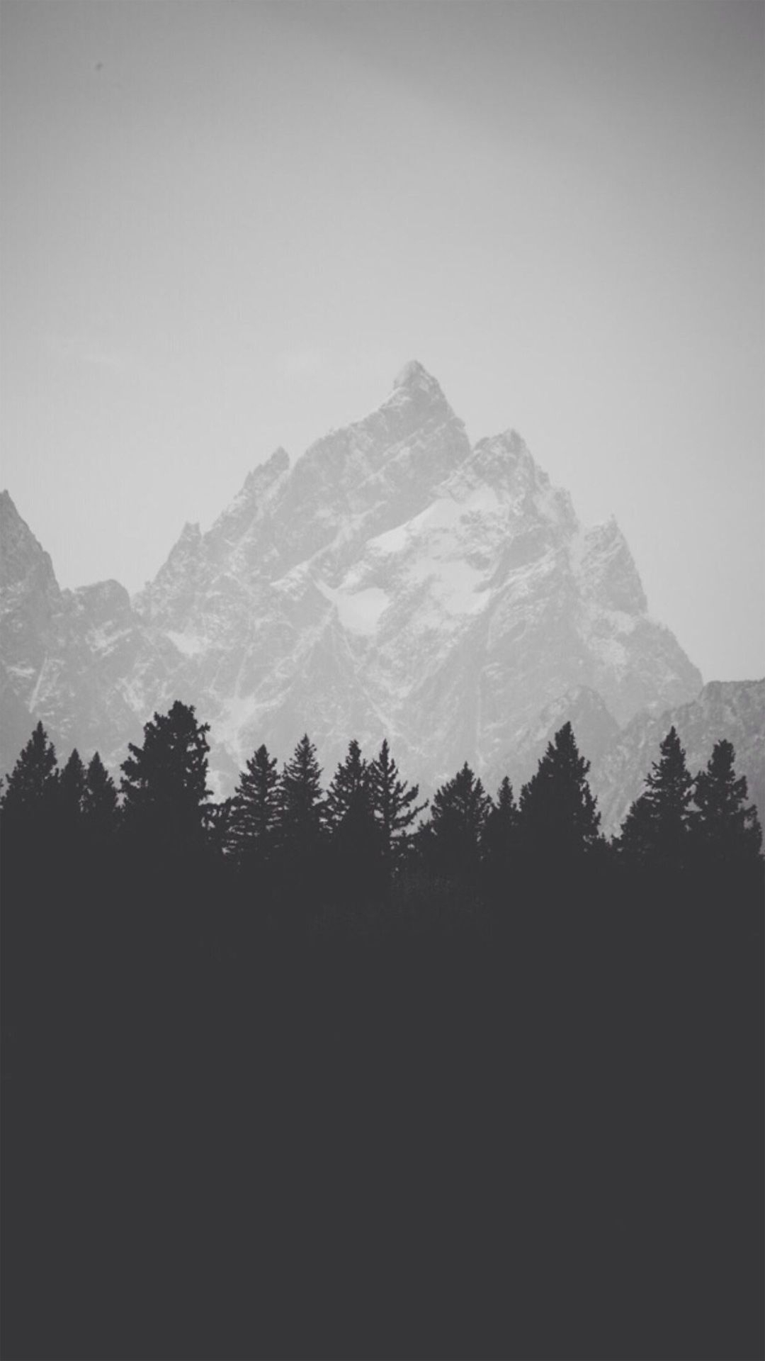 1080x1920 Mountain Top Behind Pine Forest Black And White iPhone HD, Phone