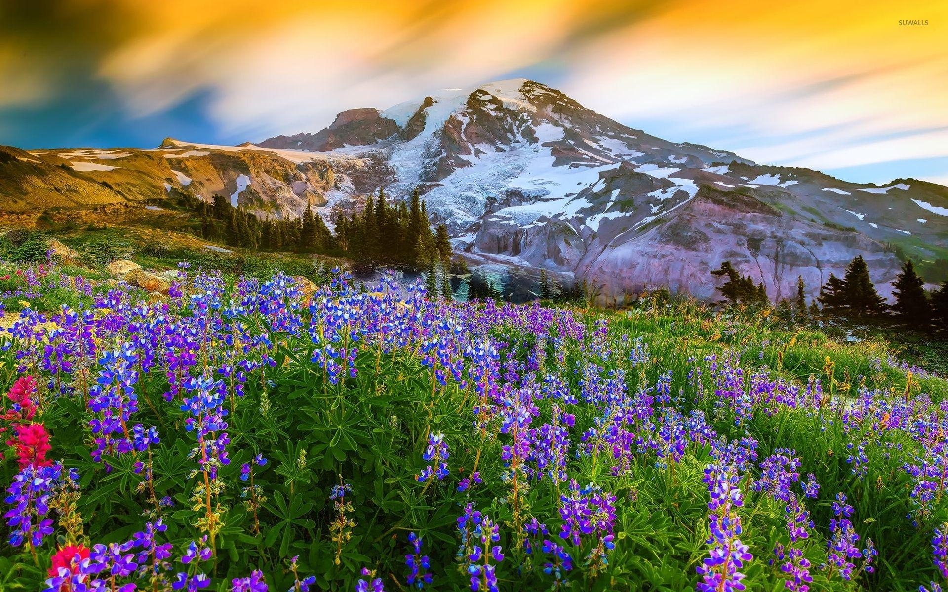 1920x1200 Download Mount Rainier Wallpaper Gallery, Desktop