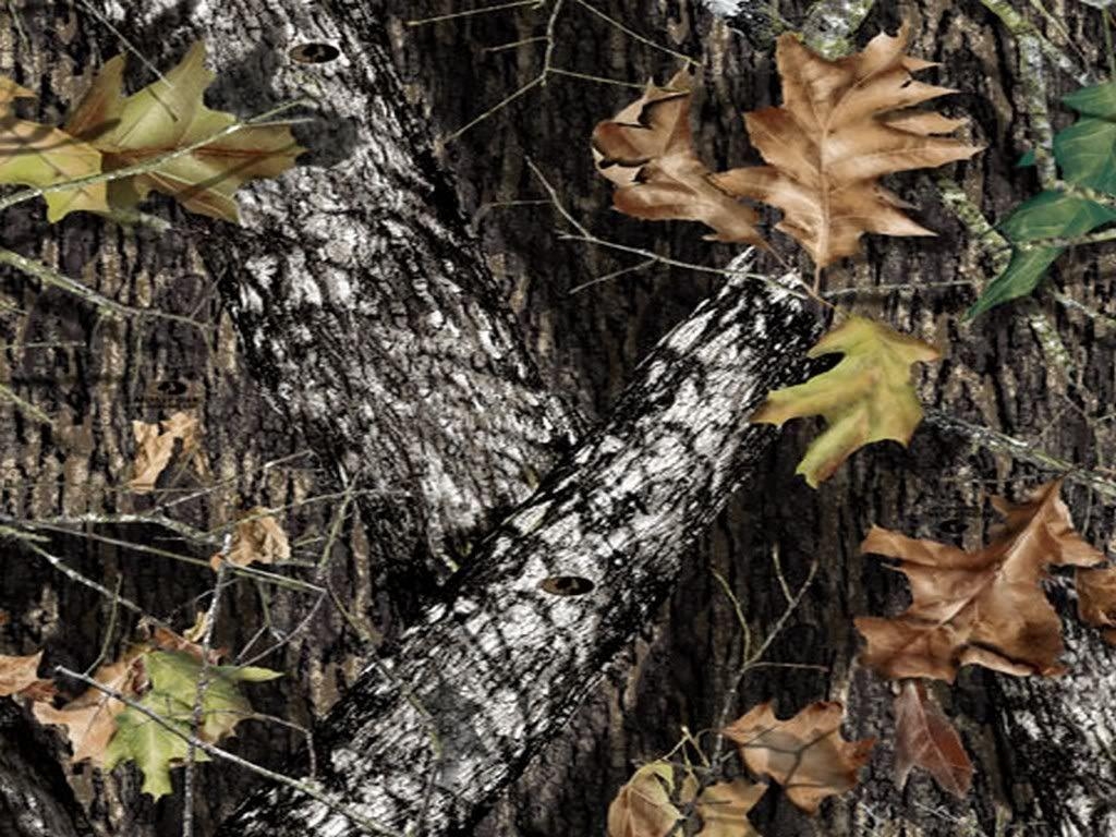 1030x770 Mossy Oak wallpaperx768, Desktop