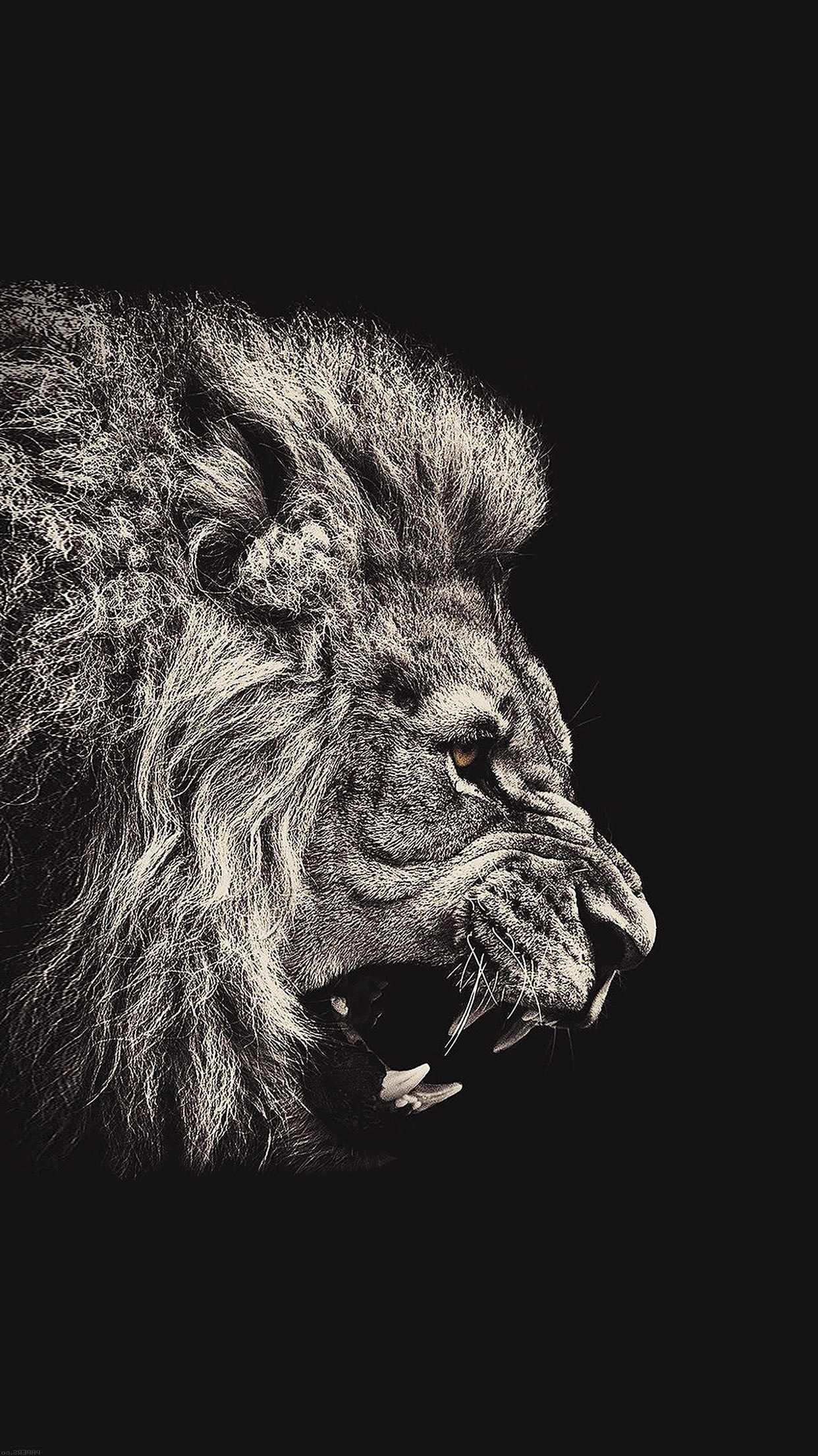 1250x2210 Lion Wallpaper iPhone. Lion wallpaper iphone, Lion wallpaper, Lion HD wallpaper, Phone