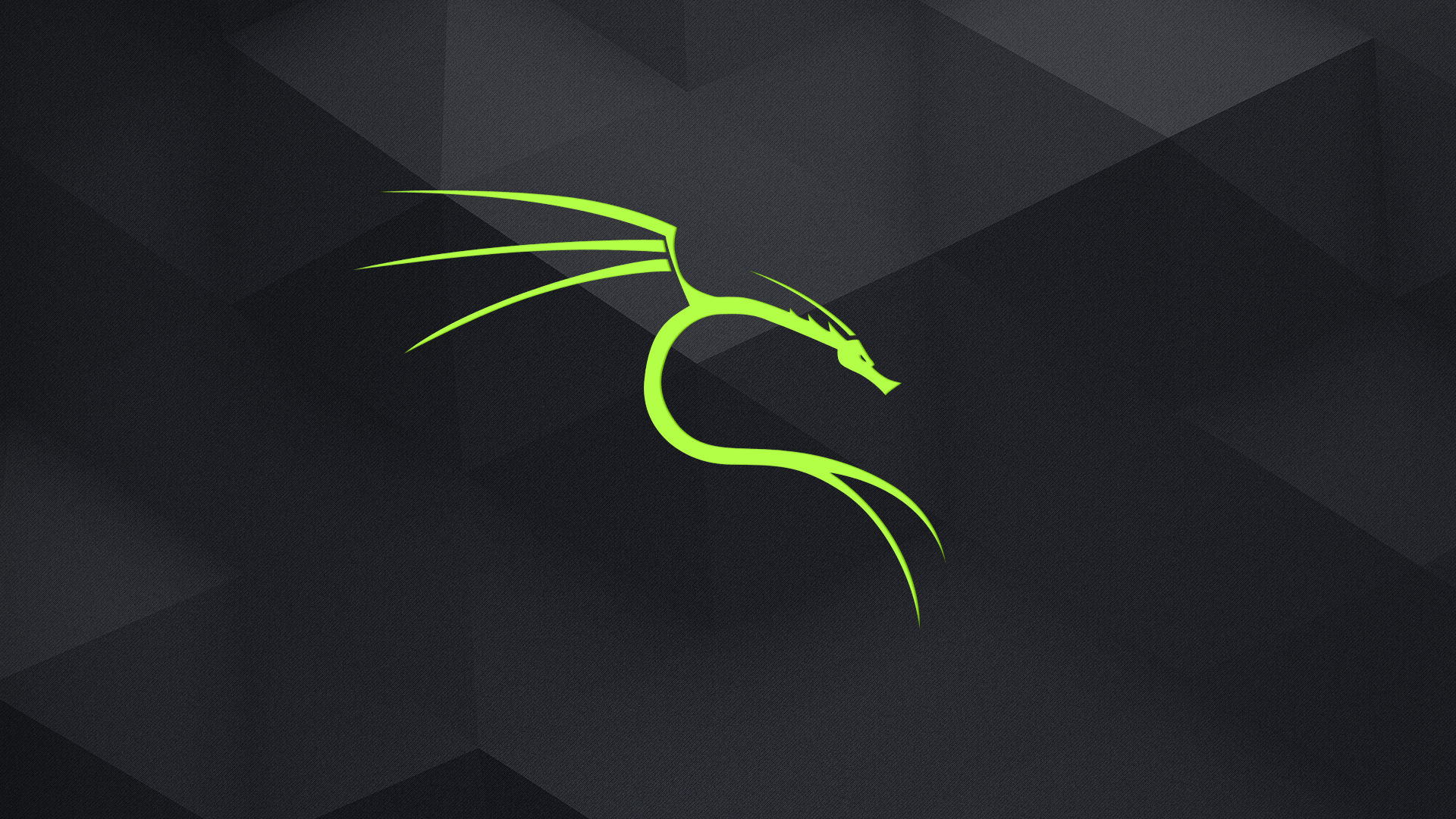 1920x1080 GitHub Kali Linux Wallpaper: A Set Of Dedicated Kali, Desktop