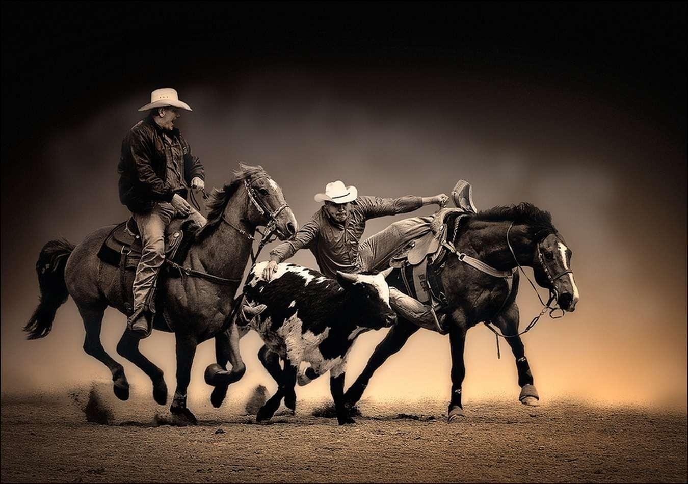 1350x950 Rodeo High Quality Wallpaper, Desktop