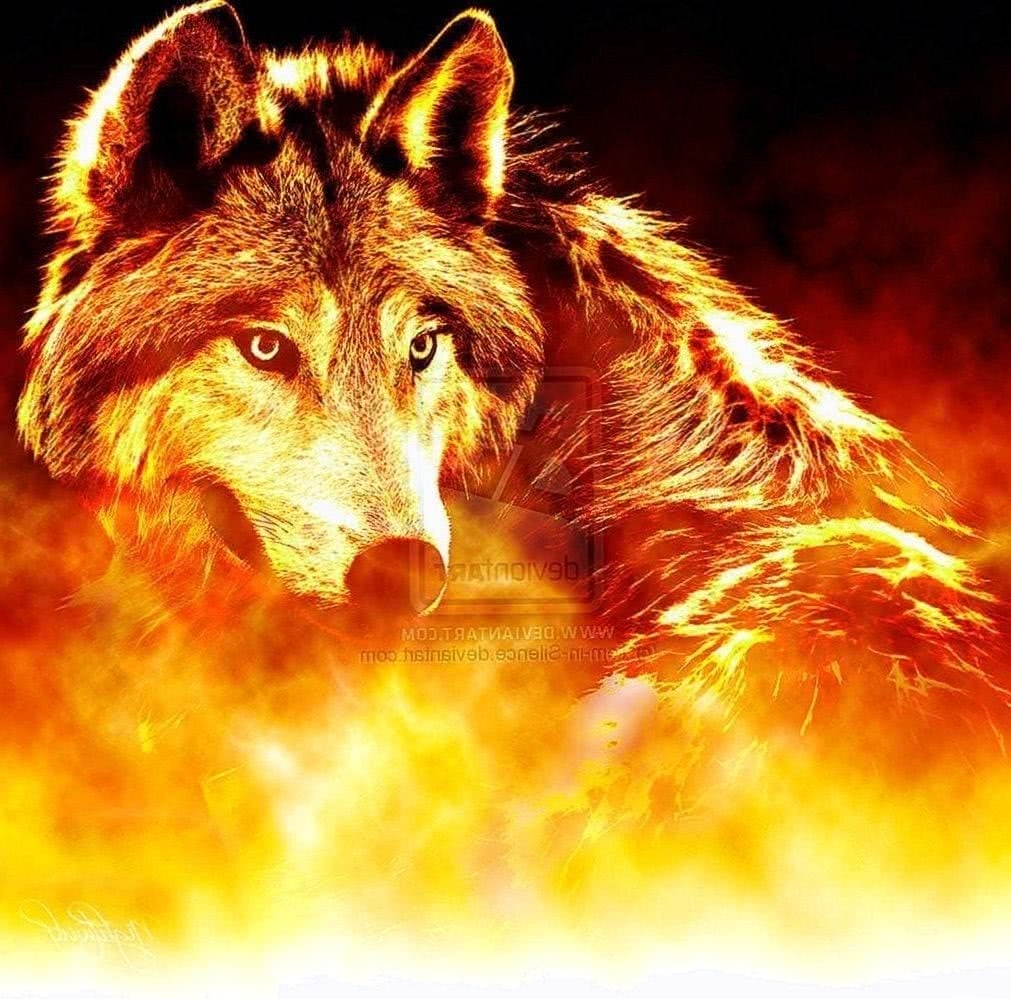 1020x1000 Ice Wolf And Fire Wolf Wallpaper, Desktop