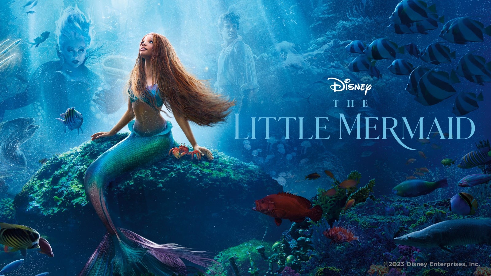 1600x900 The Little Mermaid, Desktop