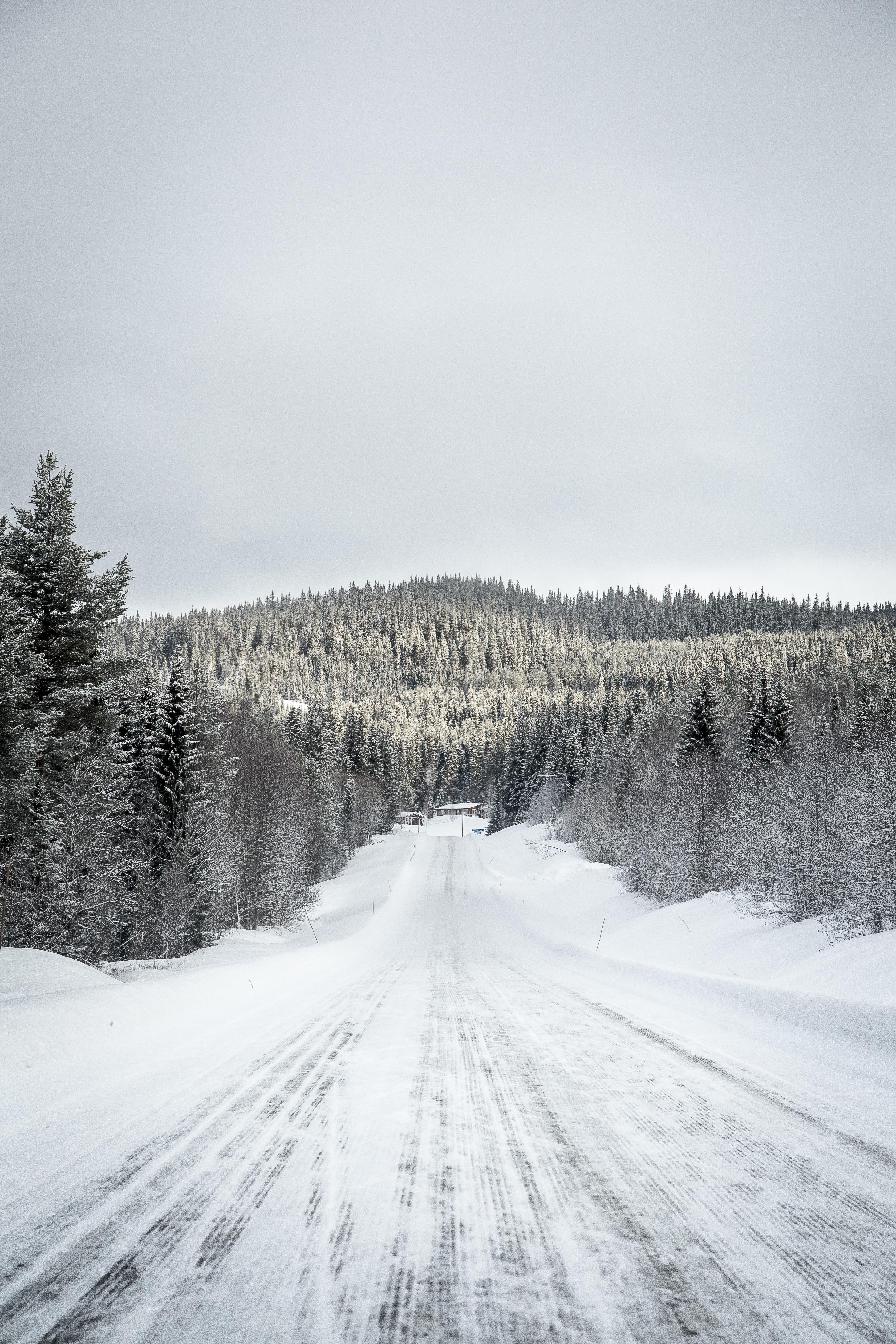 3370x5050 Winter landscape in Gäddede, Sweden image, Phone