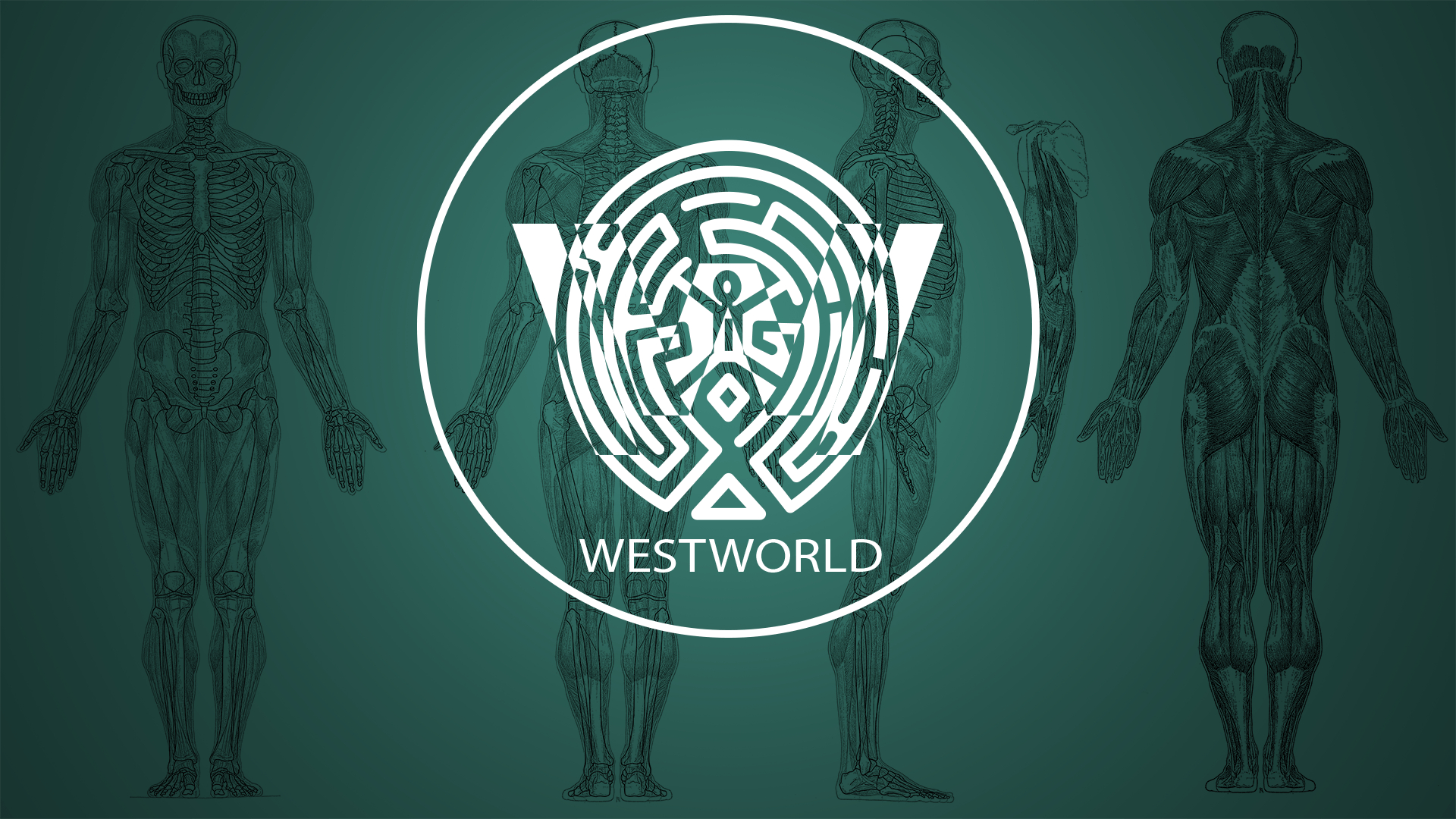 1920x1080 Westworld. Fans, iPhone 6 and Comment, Desktop