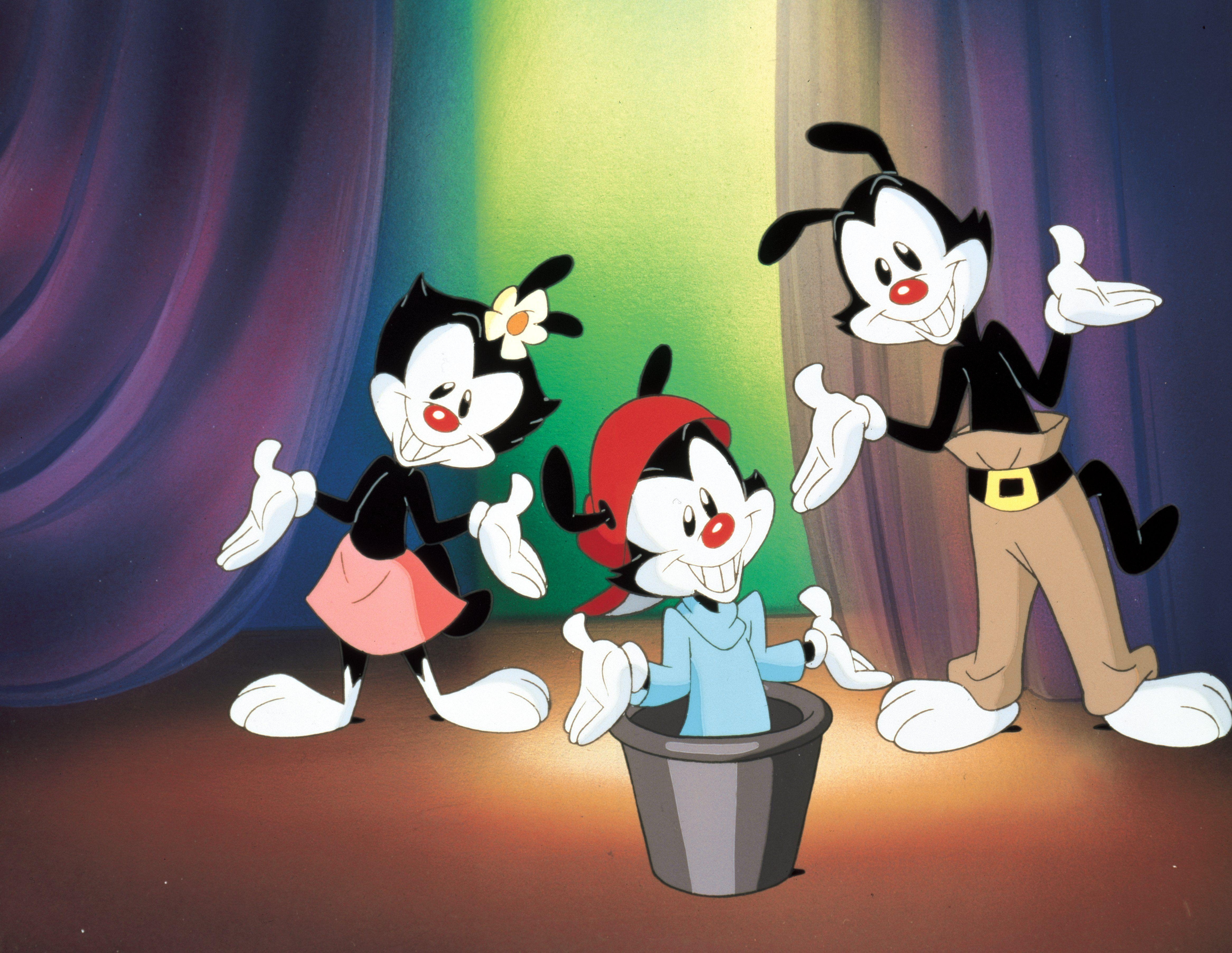 4670x3610 animaniacs wallpaper, Desktop