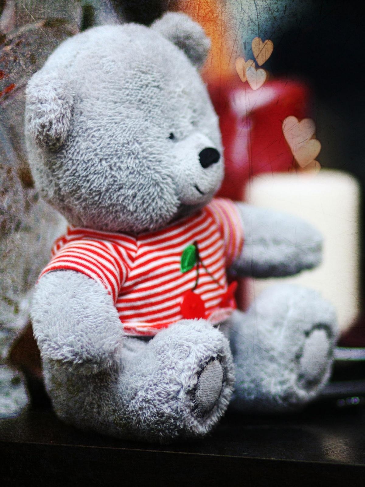 1200x1600 Teddy Bear Mobile Wallpaper, Phone