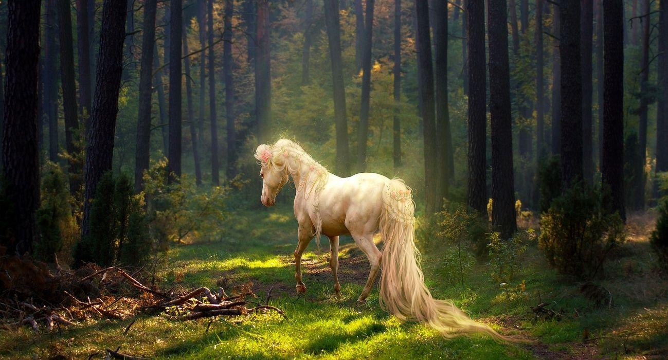 1300x700 Horse horses nature wildlife animal wallpaperx1035, Desktop